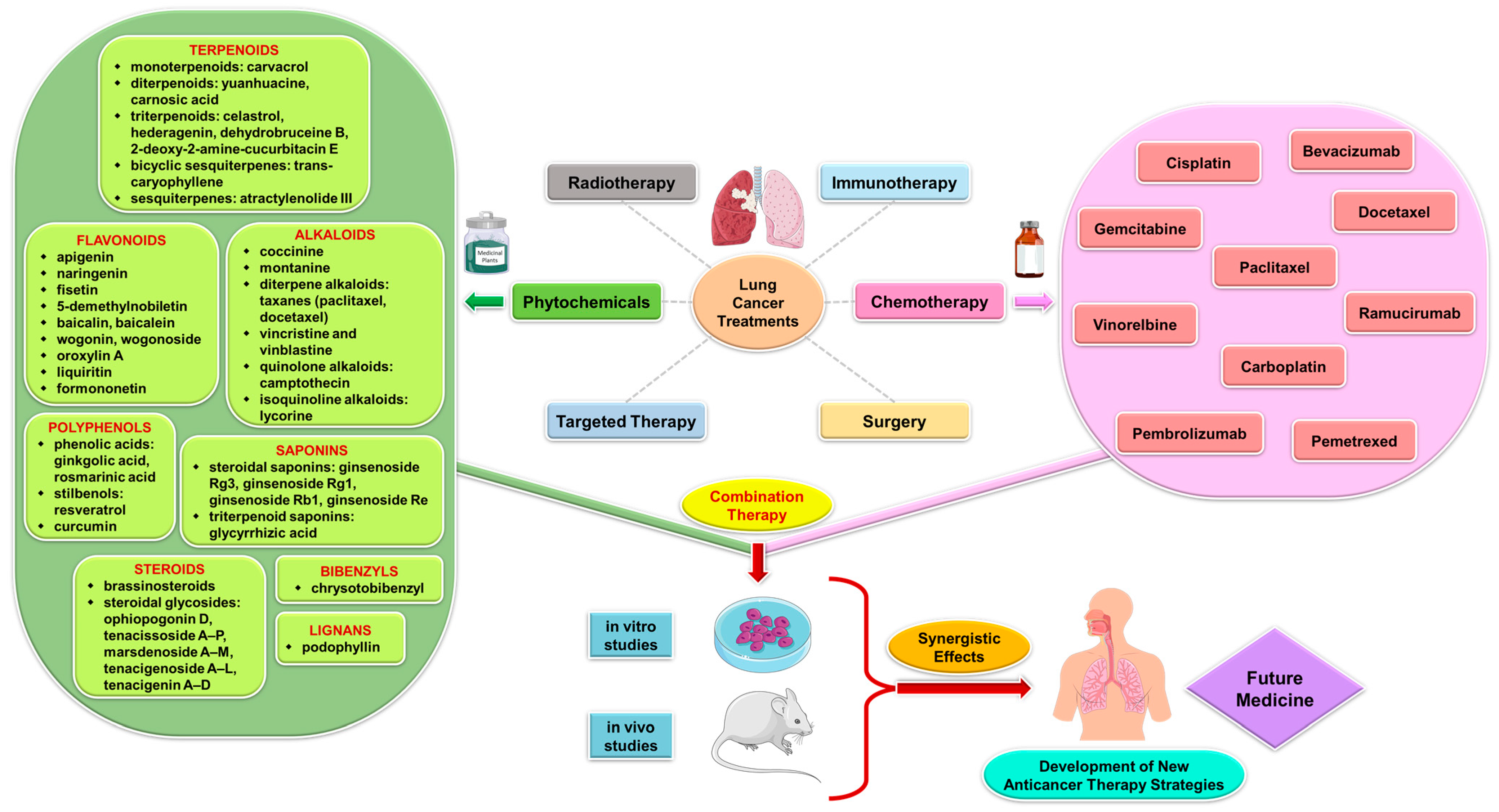 Pharmaceuticals 17 00598 g002