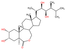 Pharmaceuticals 17 00598 i002