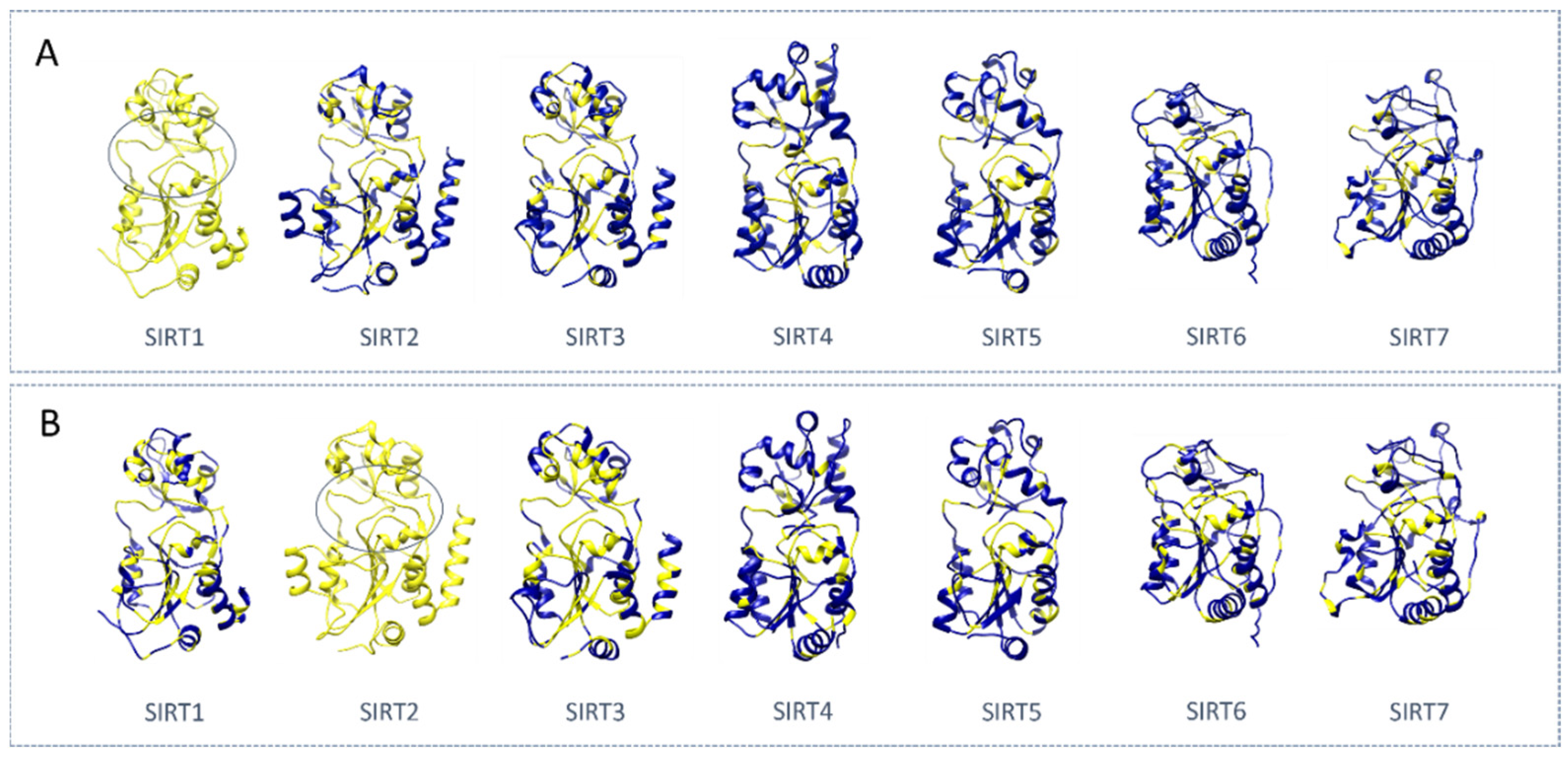 Pharmaceuticals 17 00601 g002