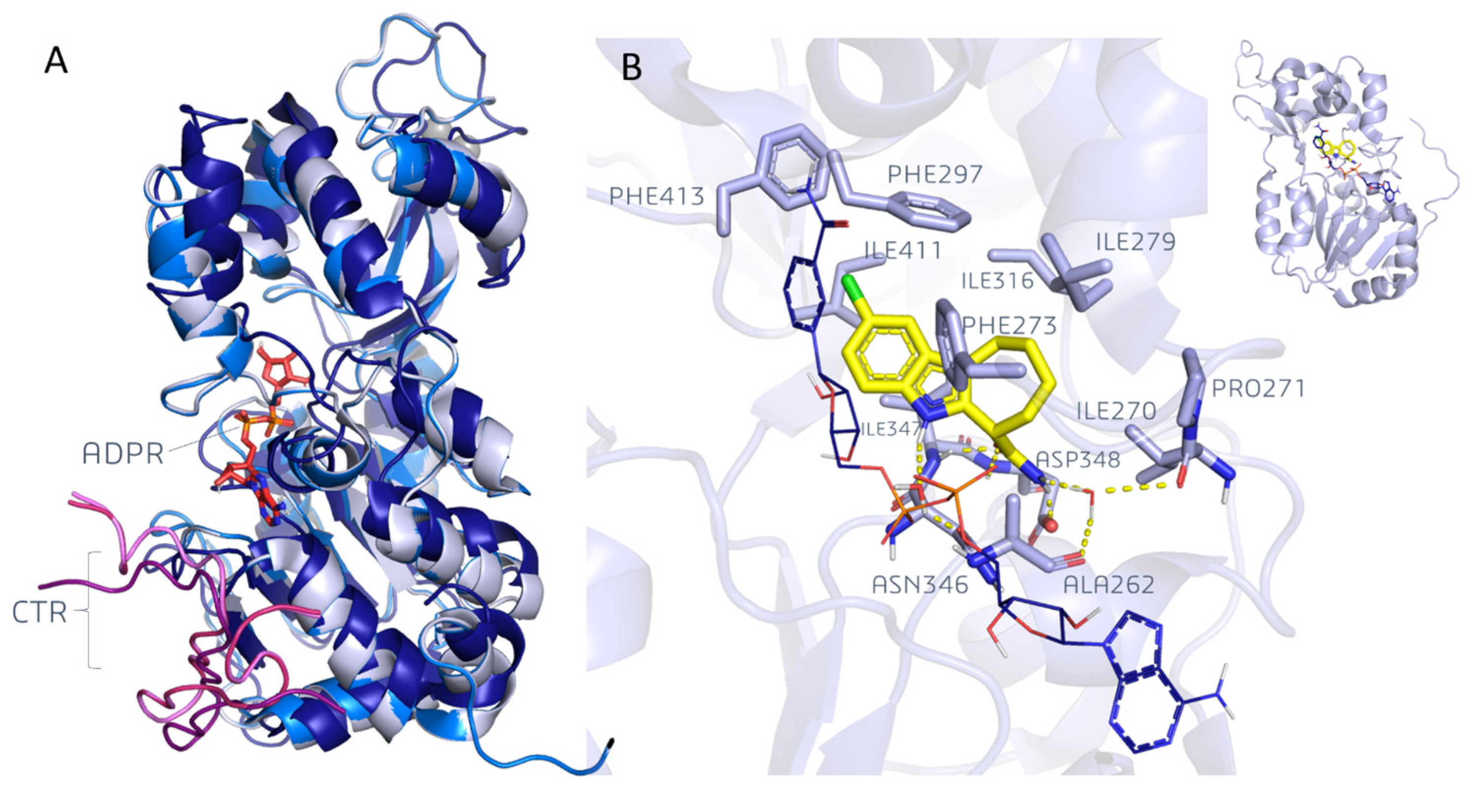 Pharmaceuticals 17 00601 g003