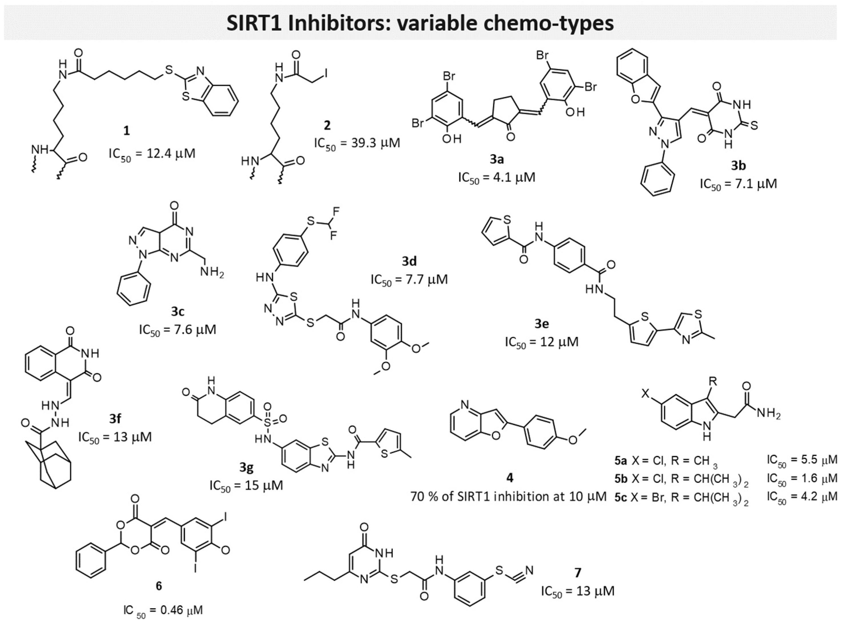 Pharmaceuticals 17 00601 g008