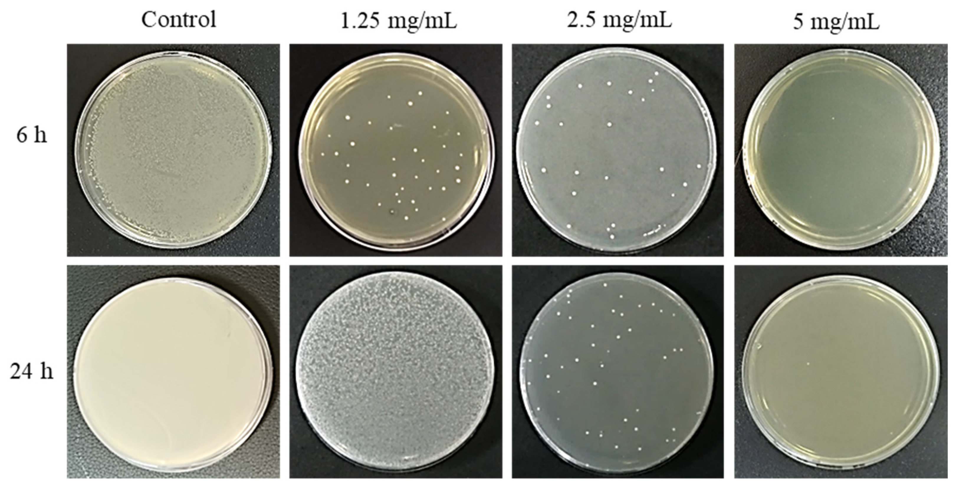 Pharmaceuticals 17 00603 g001