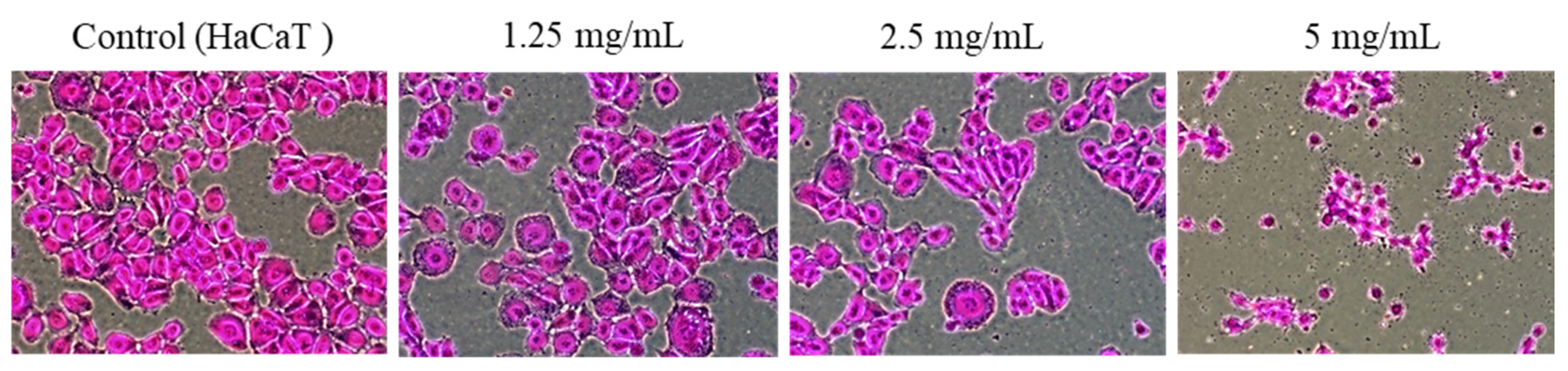 Pharmaceuticals 17 00603 g003