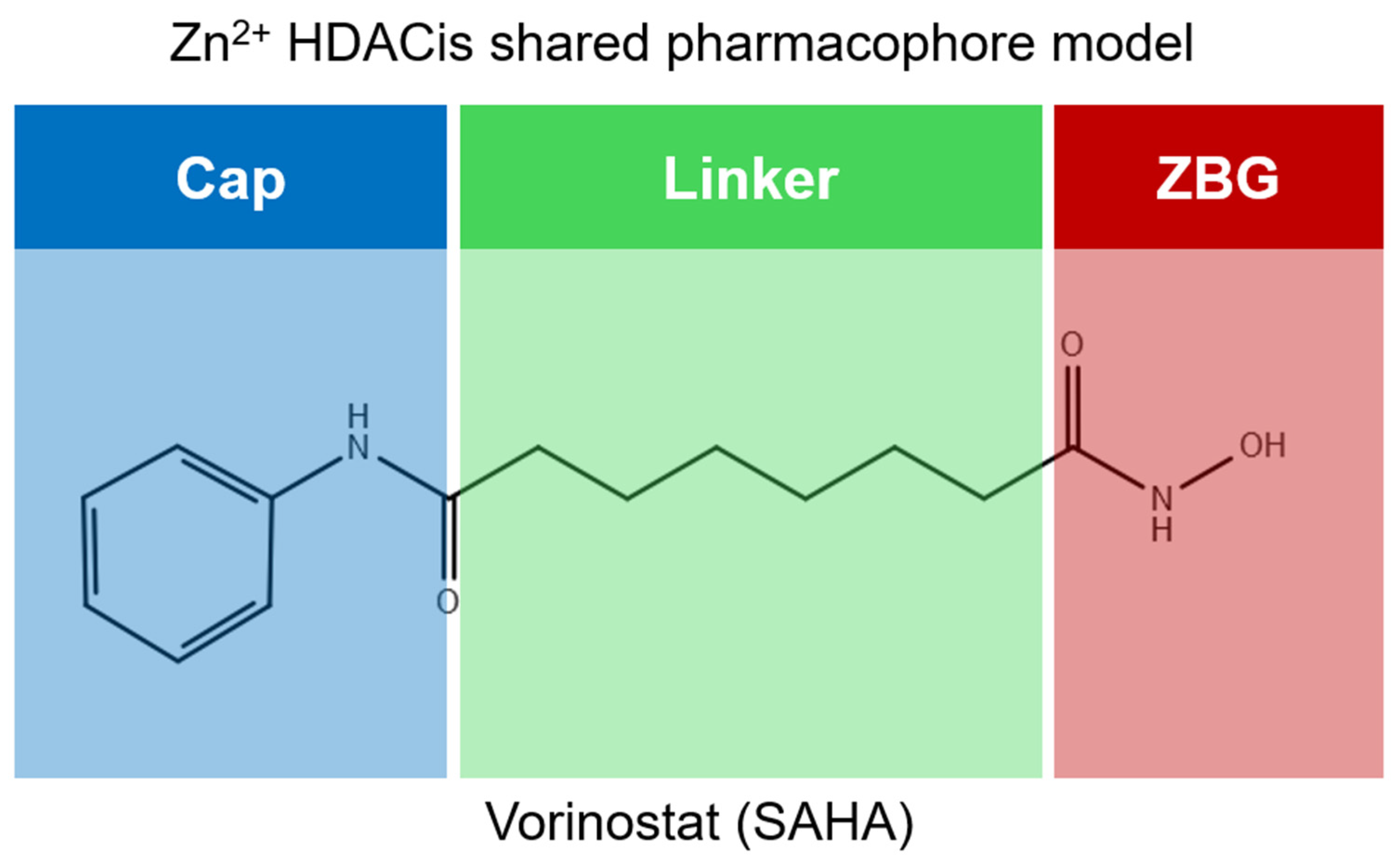 Pharmaceuticals 17 00620 g007