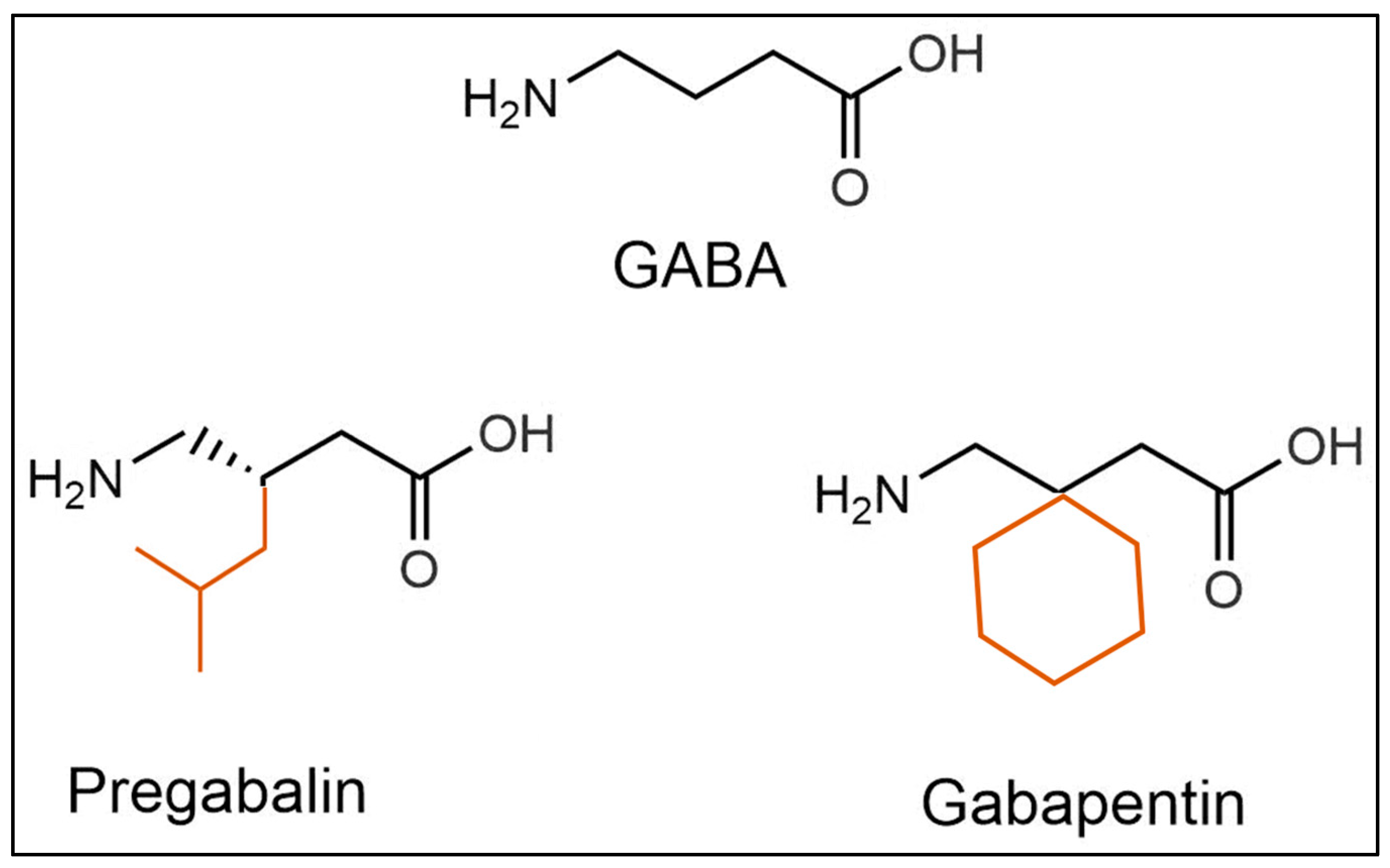 Pharmaceuticals 17 00623 g002