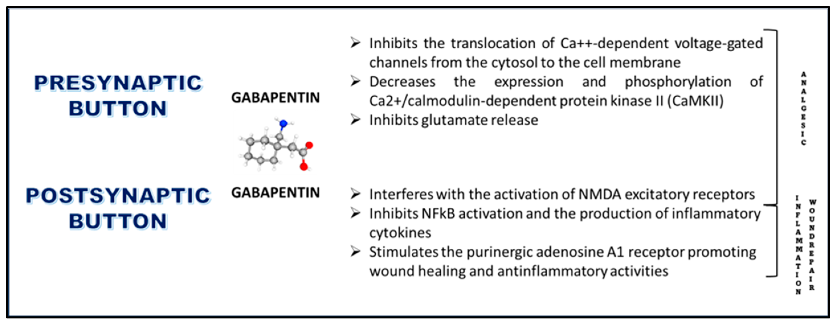 Pharmaceuticals 17 00623 g004
