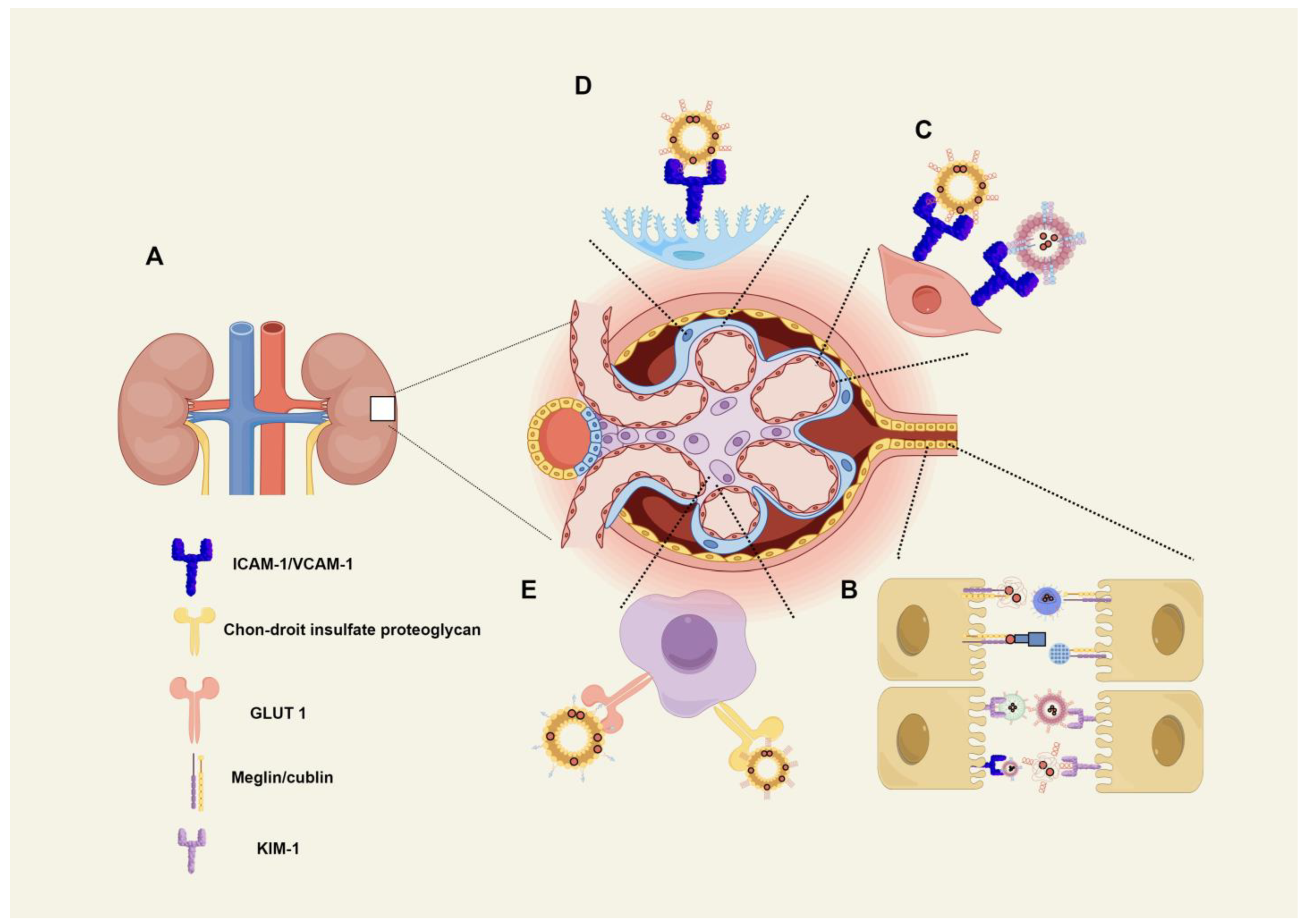 Pharmaceuticals 17 00625 g002