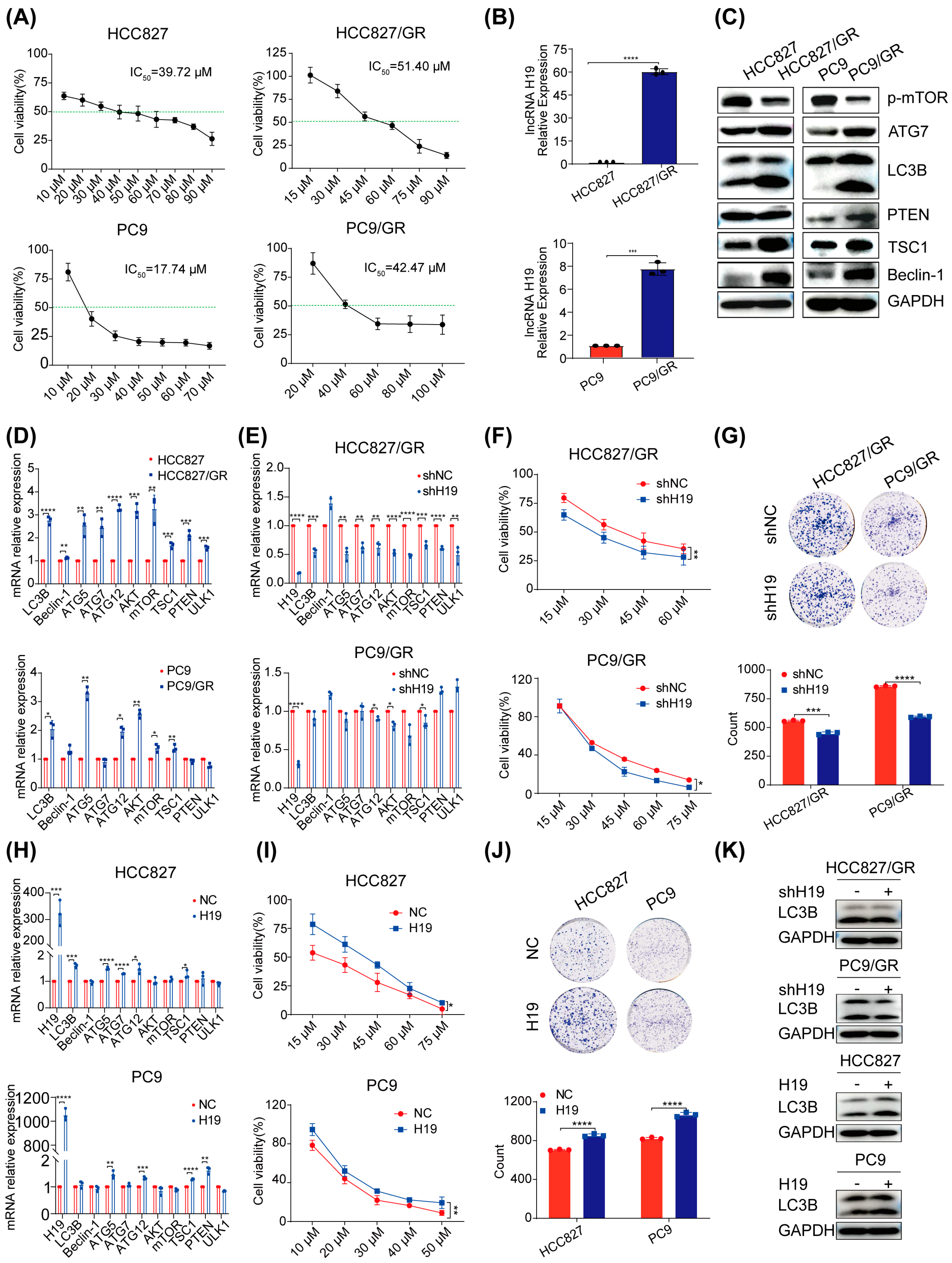 Pharmaceuticals 17 00626 g001