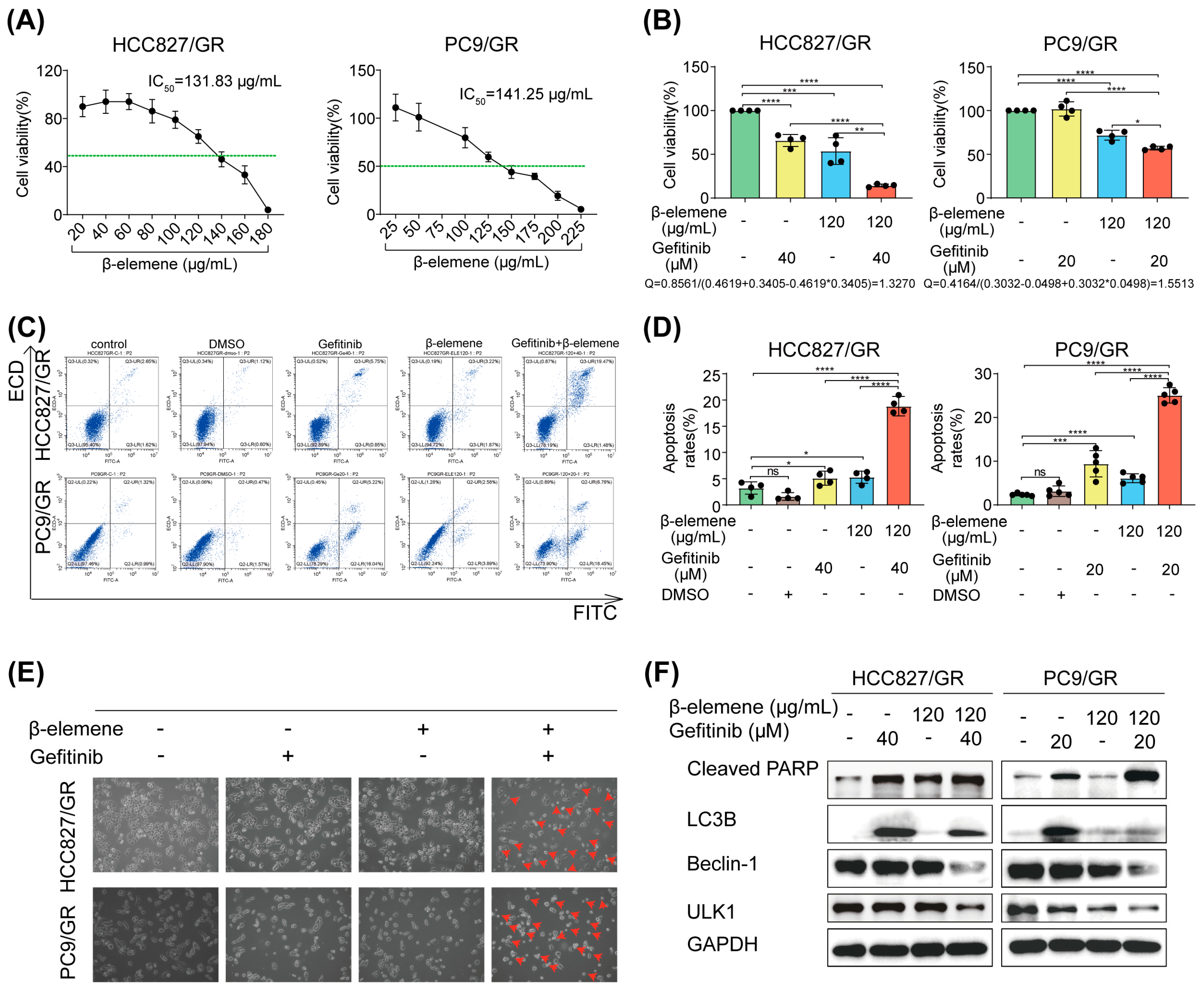 Pharmaceuticals 17 00626 g002