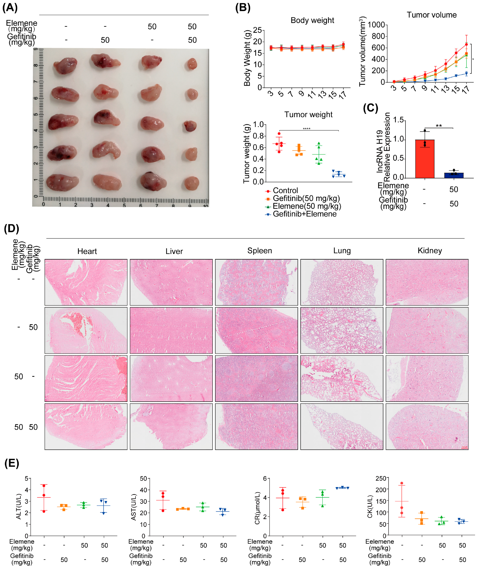 Pharmaceuticals 17 00626 g003