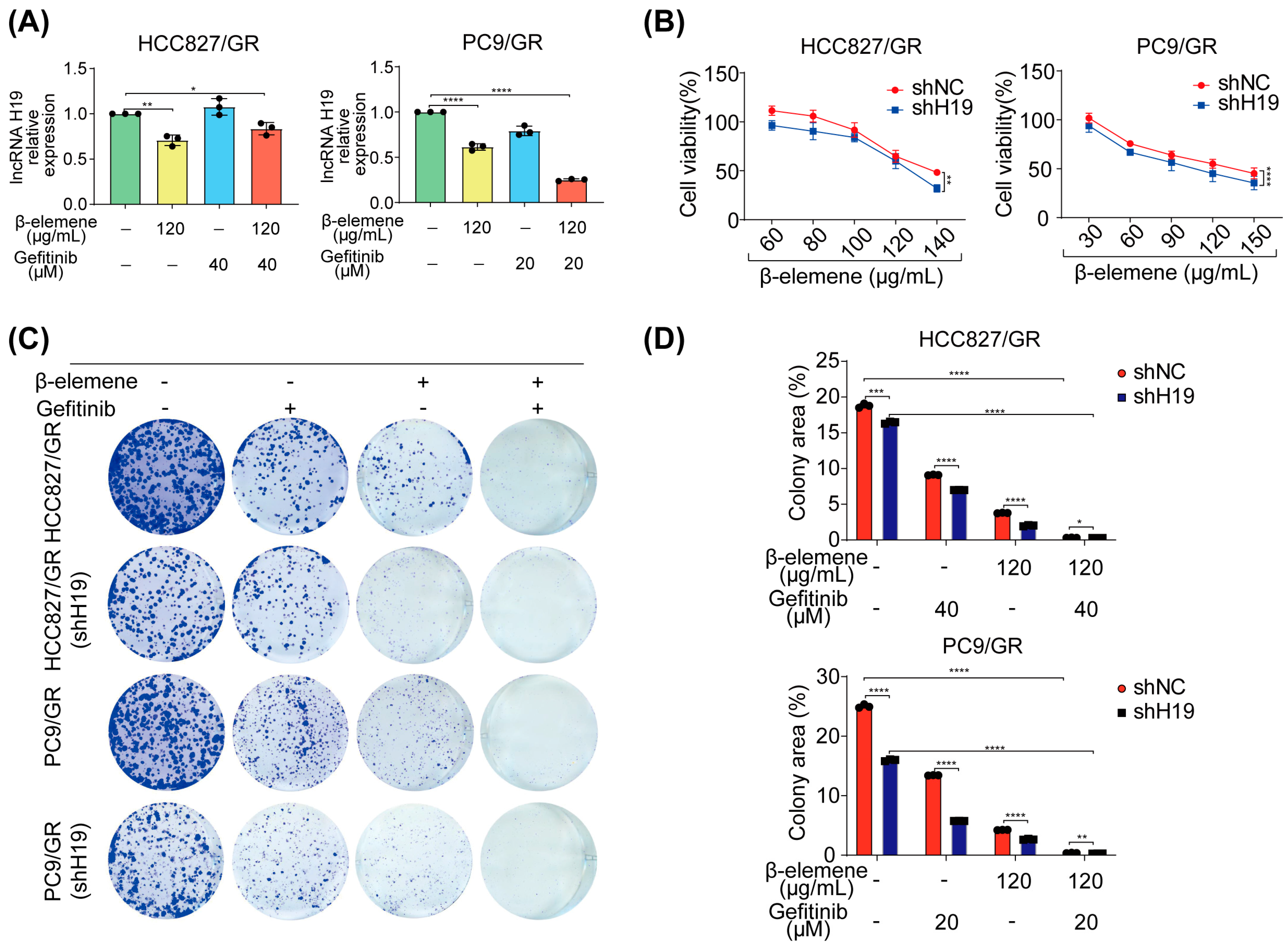 Pharmaceuticals 17 00626 g005a