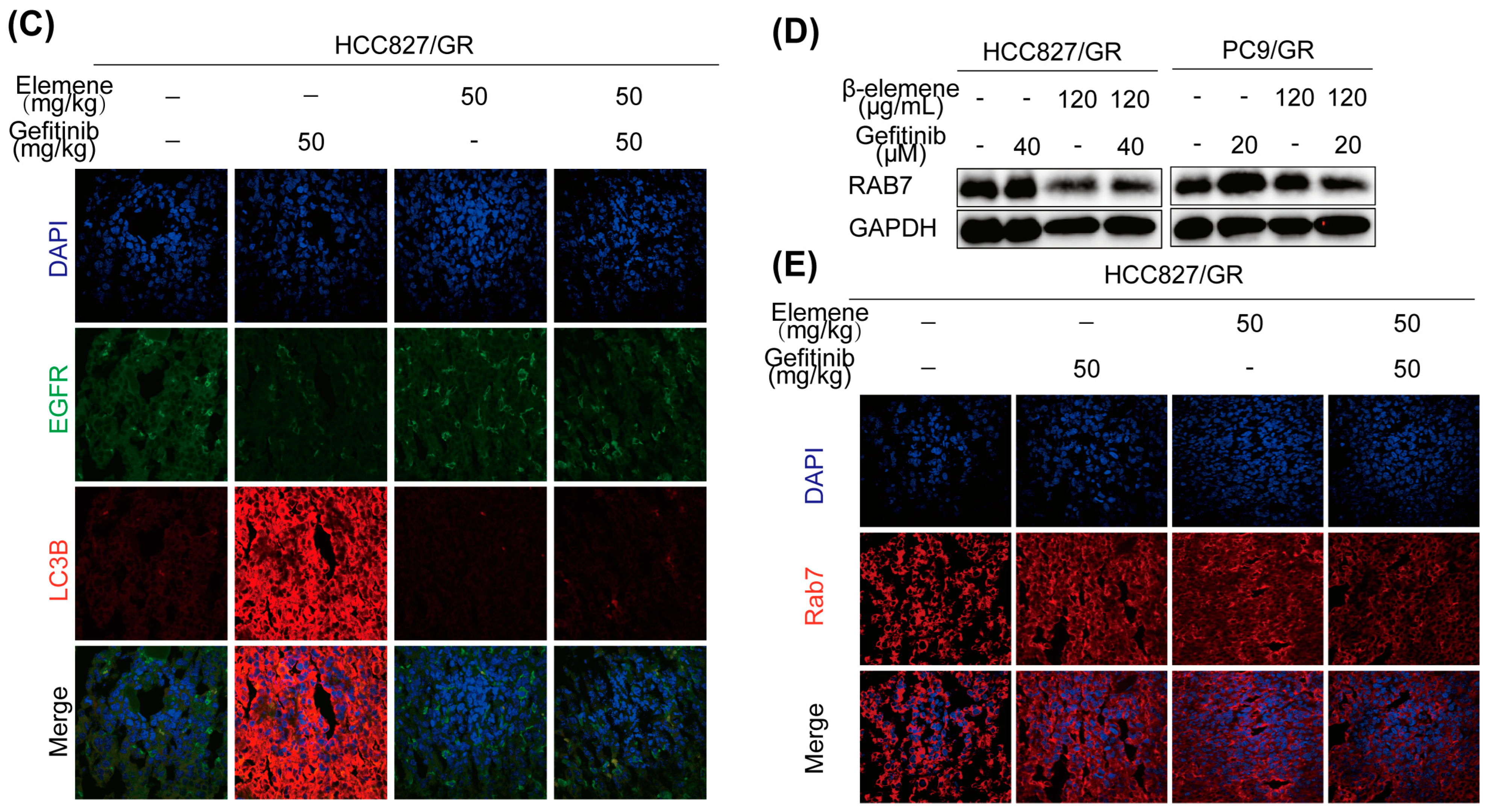 Pharmaceuticals 17 00626 g006b