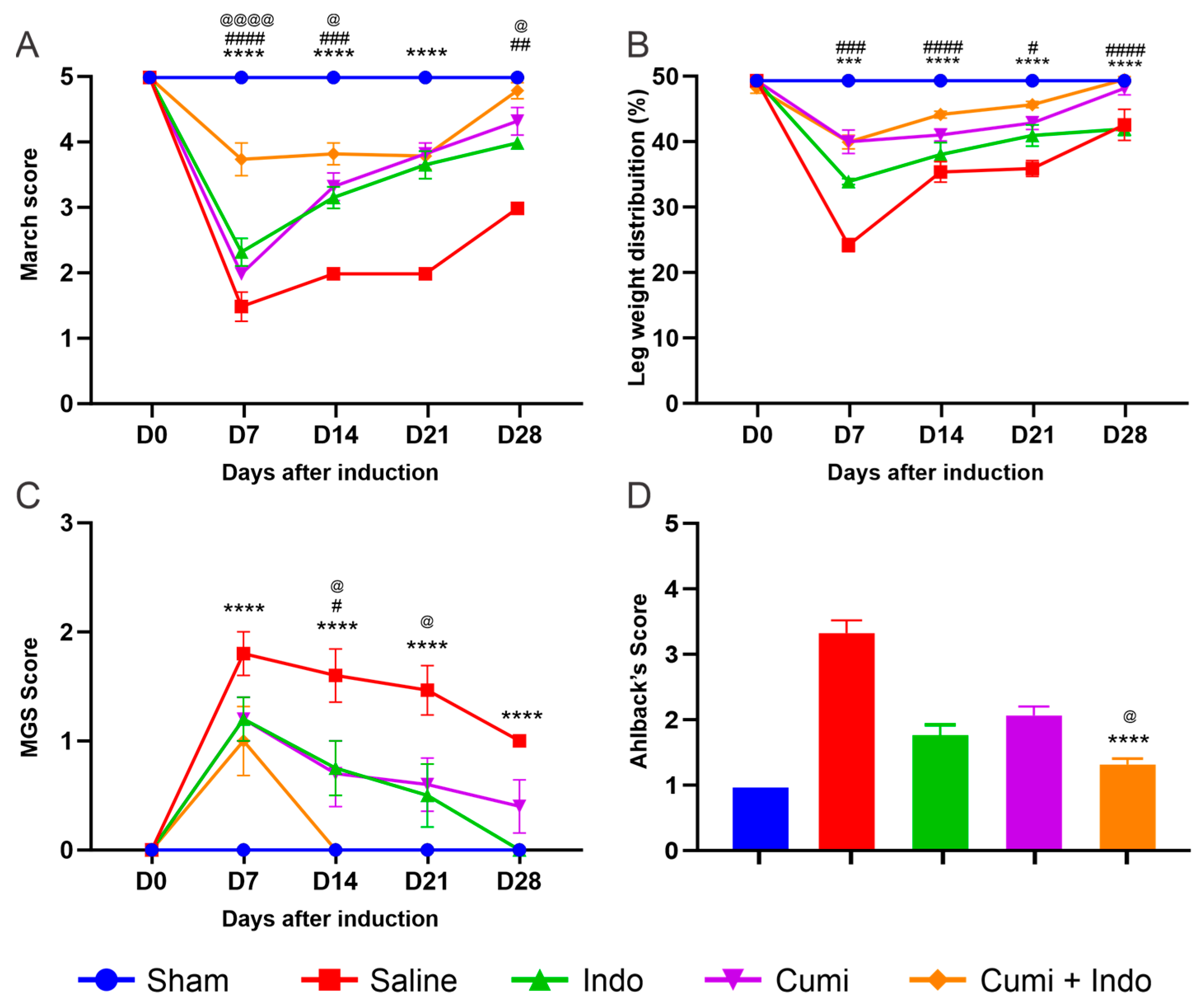 Pharmaceuticals 17 00630 g001