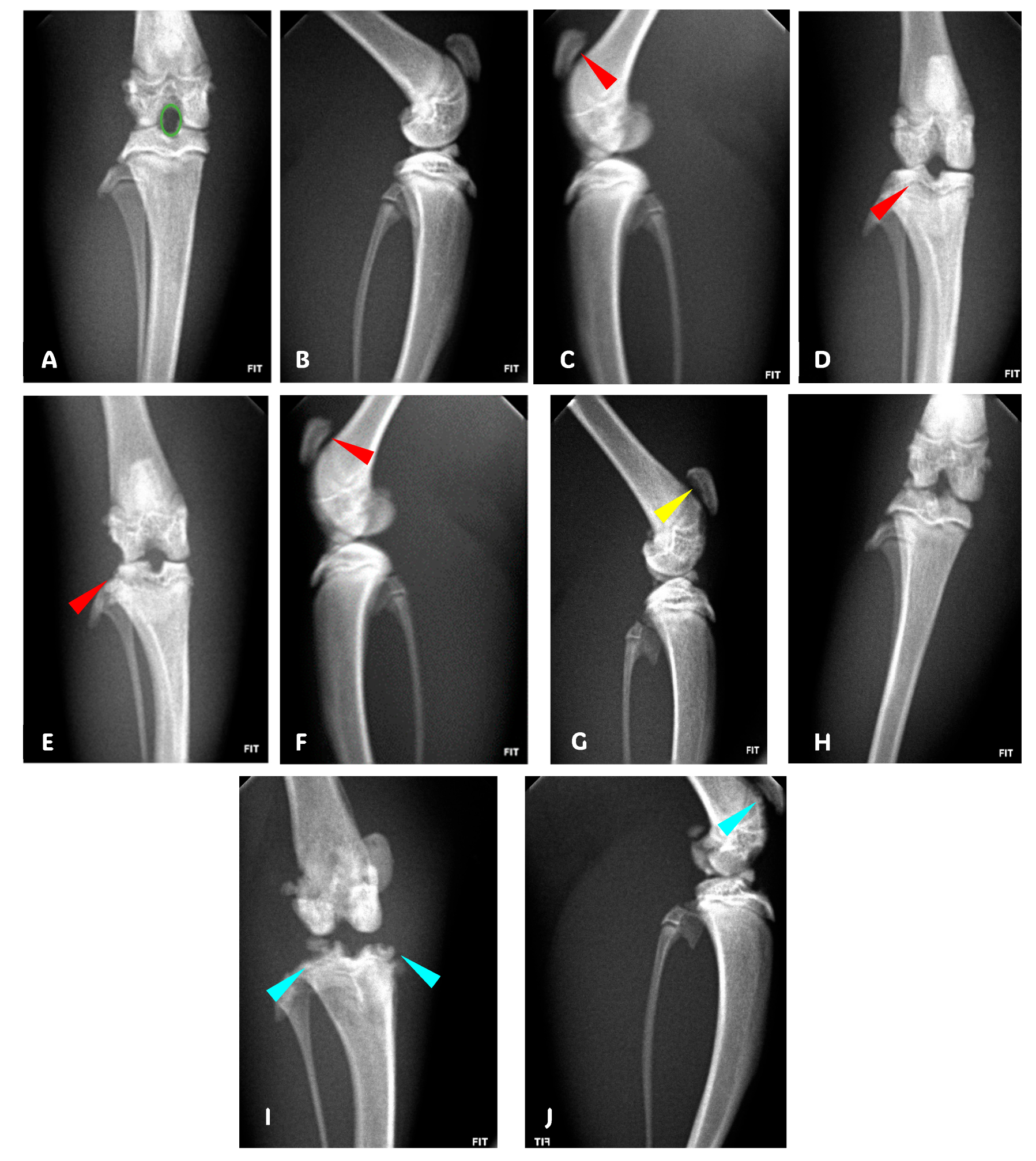 Pharmaceuticals 17 00630 g002