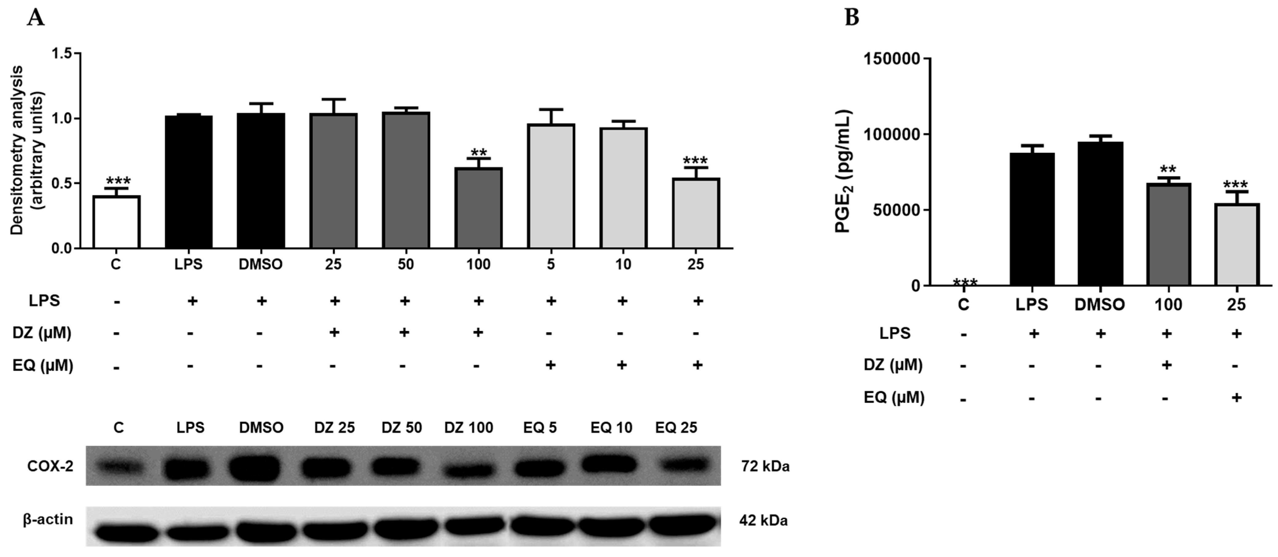 Pharmaceuticals 17 00647 g003