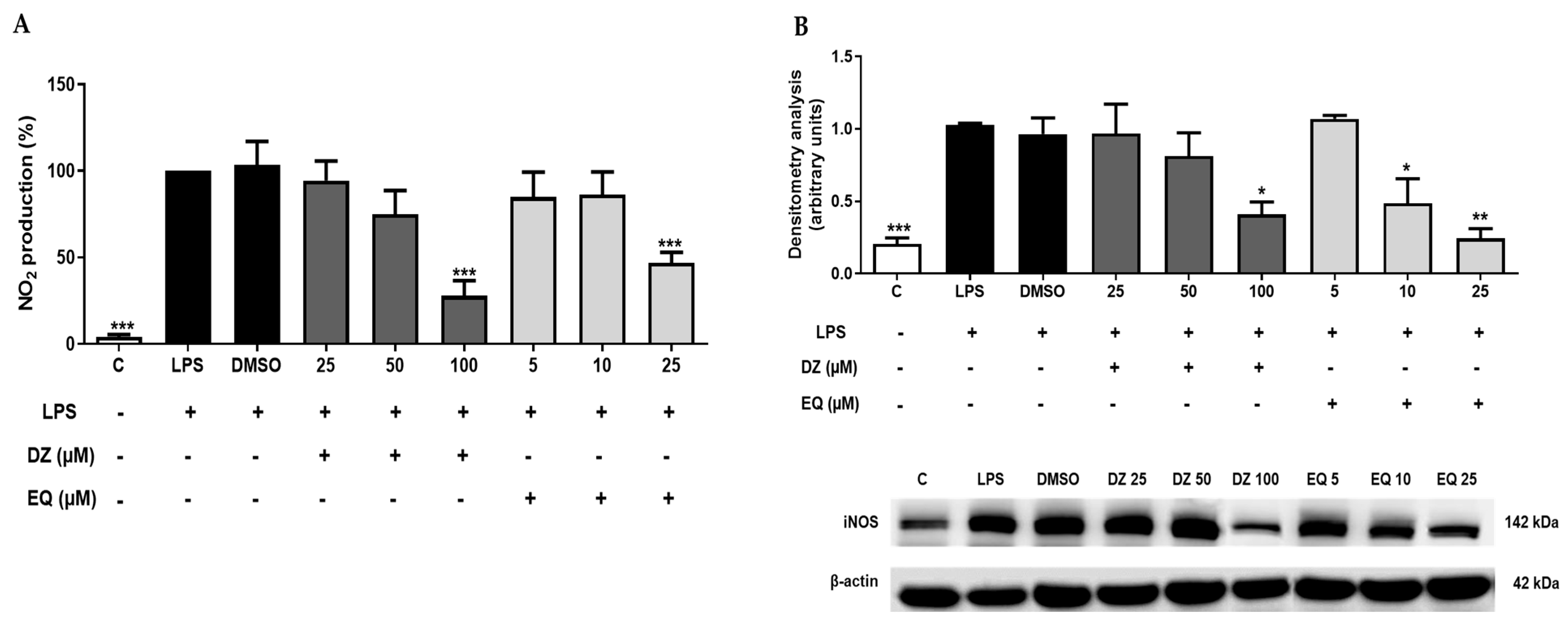 Pharmaceuticals 17 00647 g004
