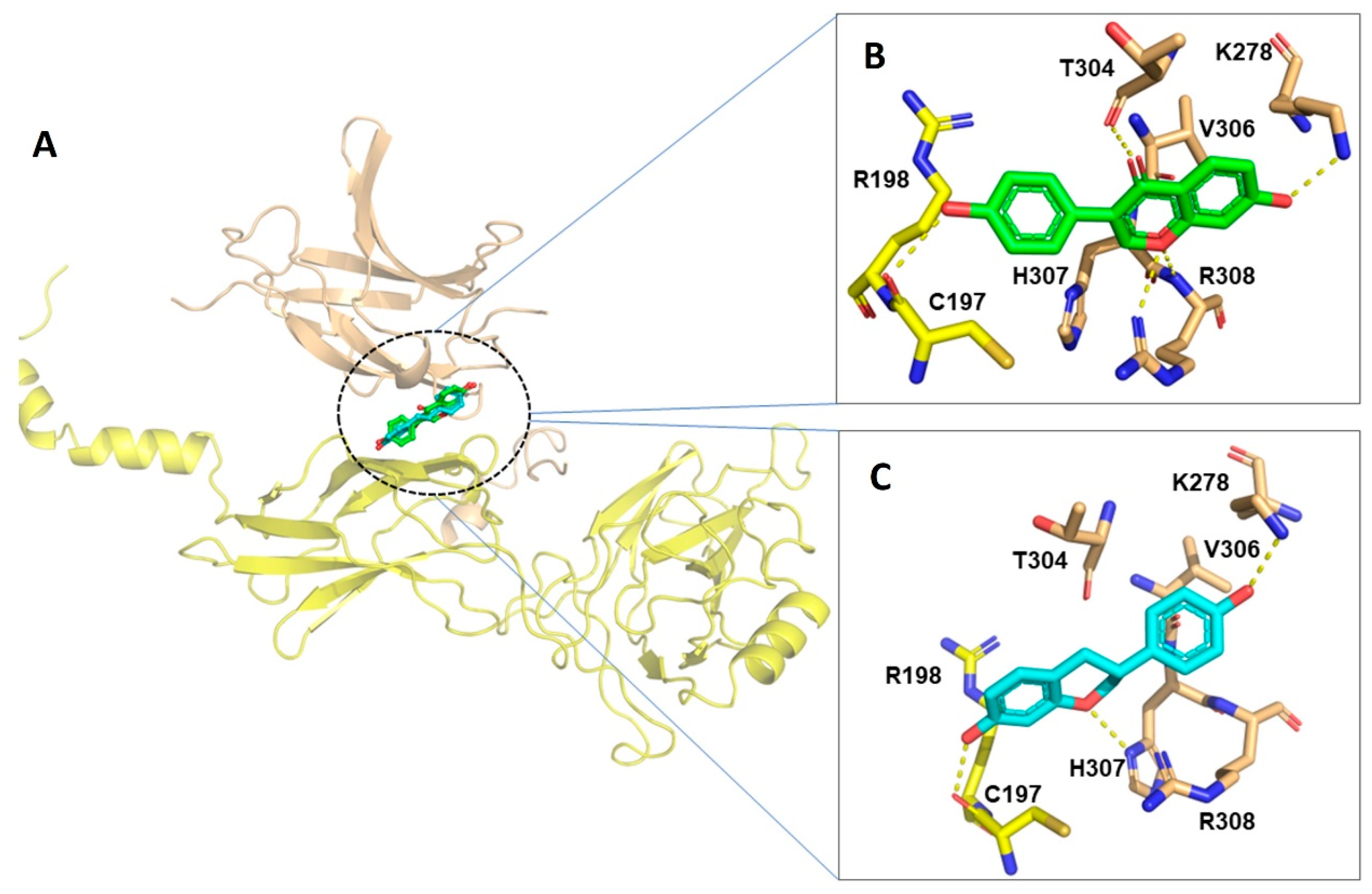 Pharmaceuticals 17 00647 g008