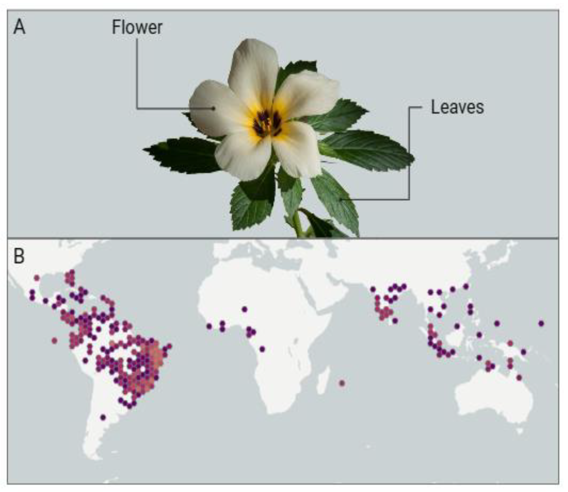 Pharmaceuticals 17 00660 g002