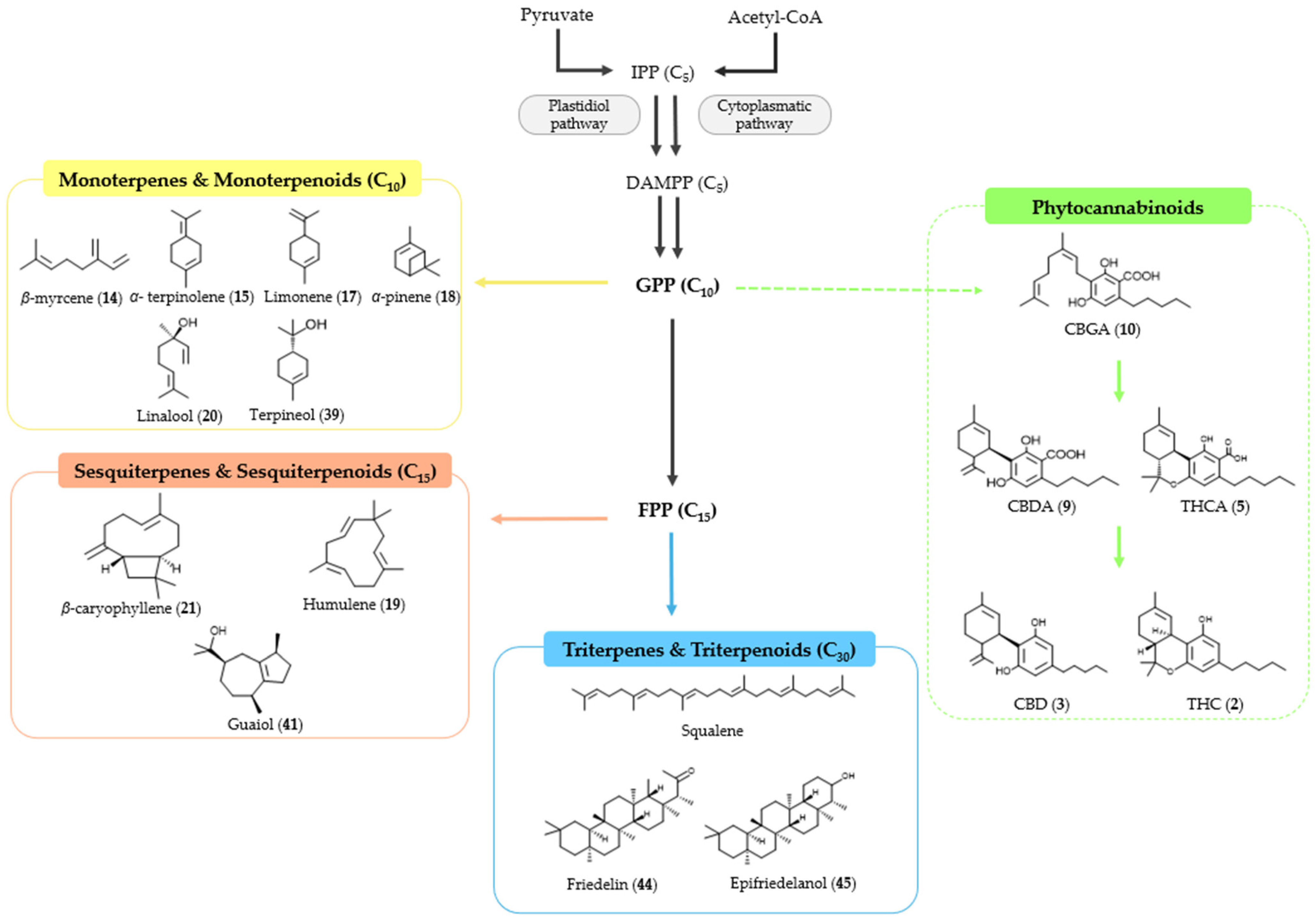 Pharmaceuticals 17 01543 g009 Pharmaceuticals 17 01543 g009