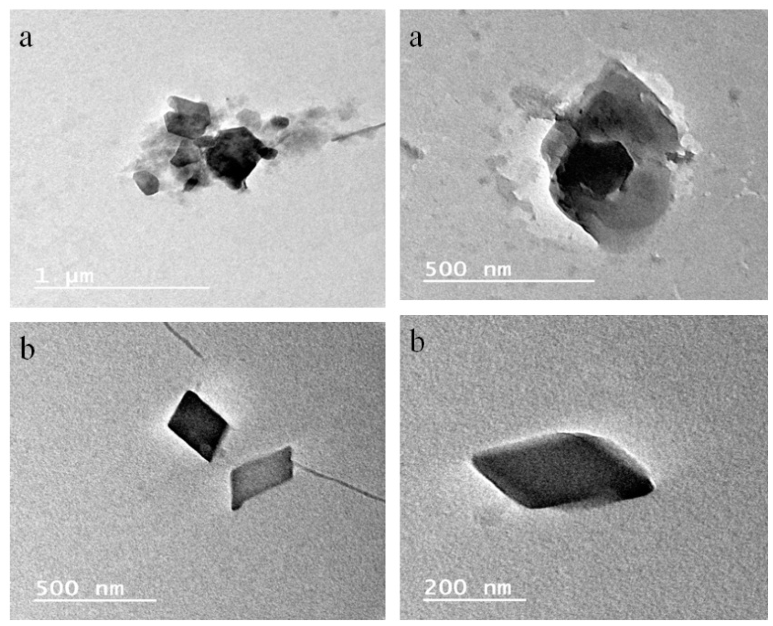 Pharmaceutics 10 00169 g009 Pharmaceutics 10 00169 g009