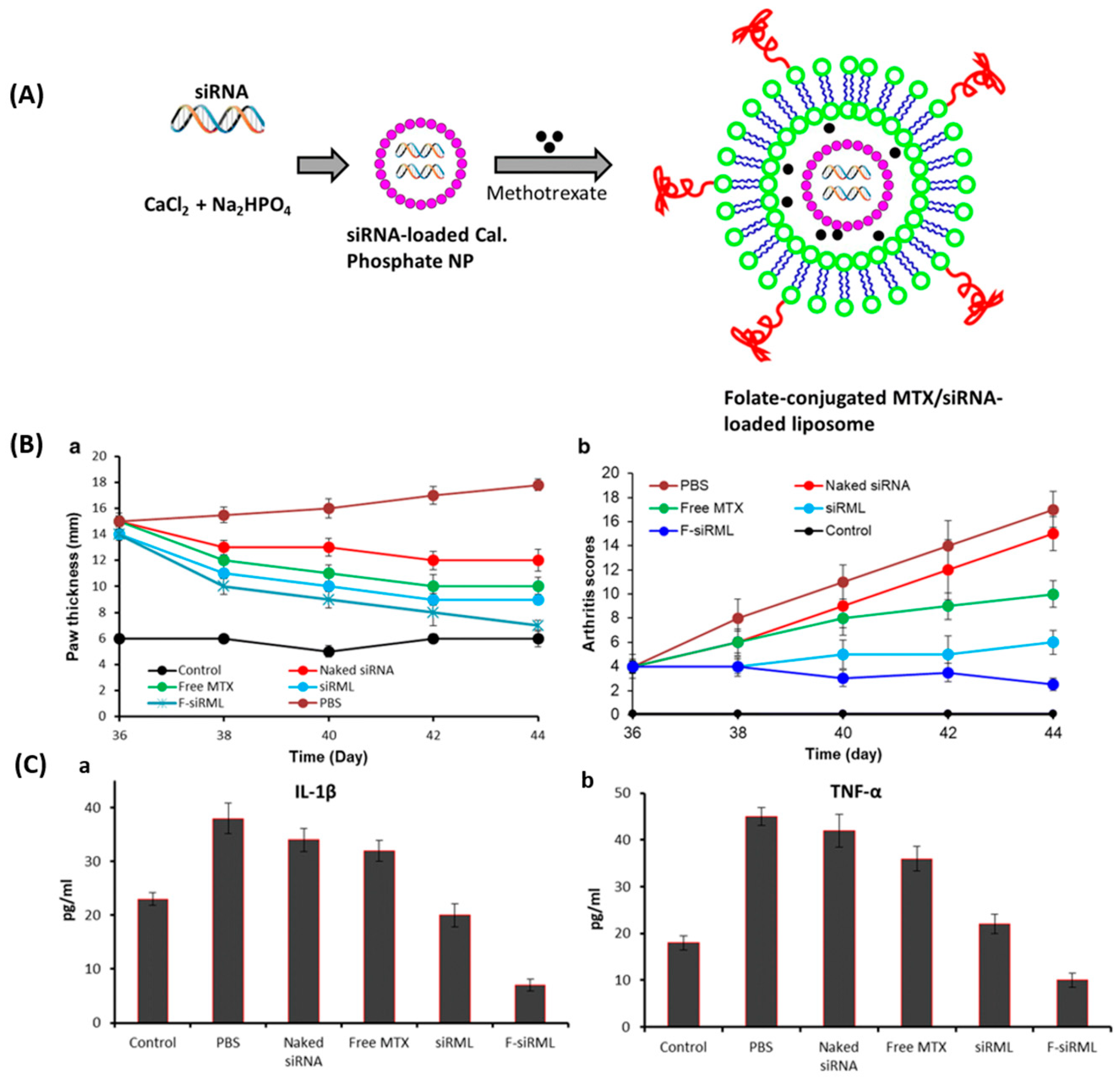 Pharmaceutics 11 00381 g008
