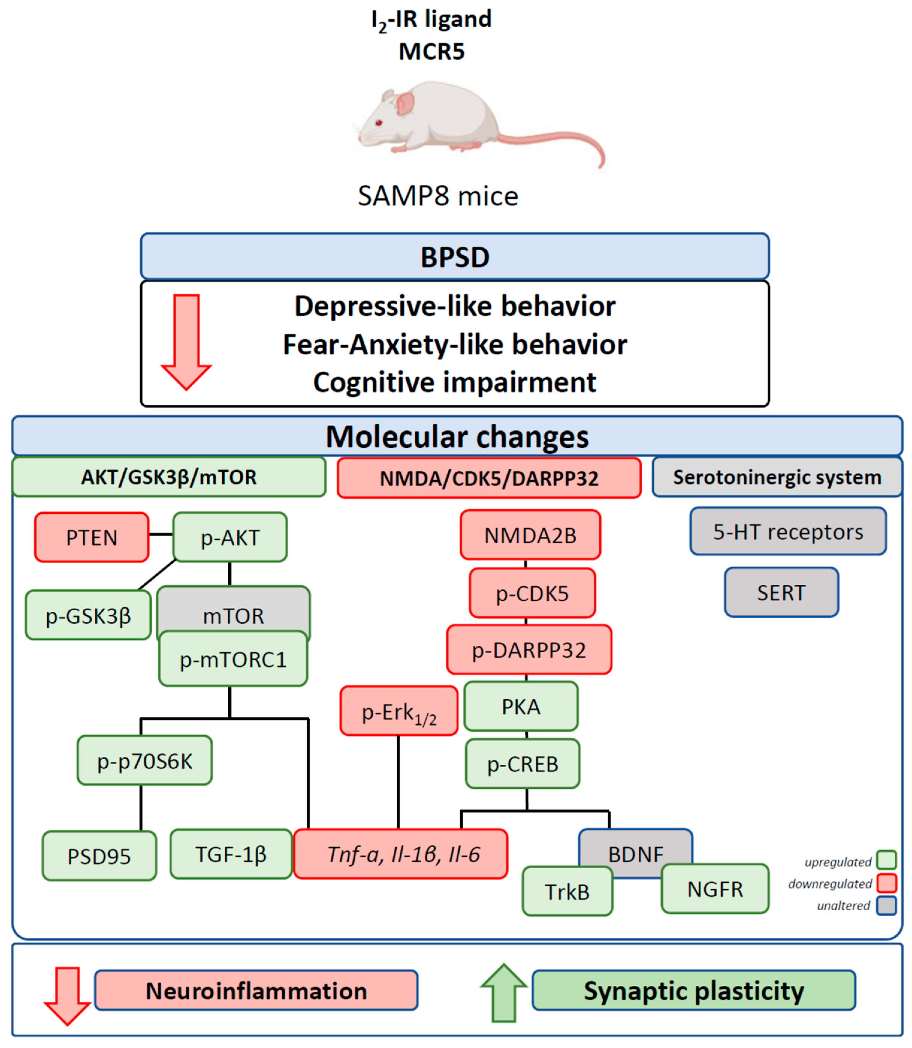 Pharmaceutics 12 00475 g008