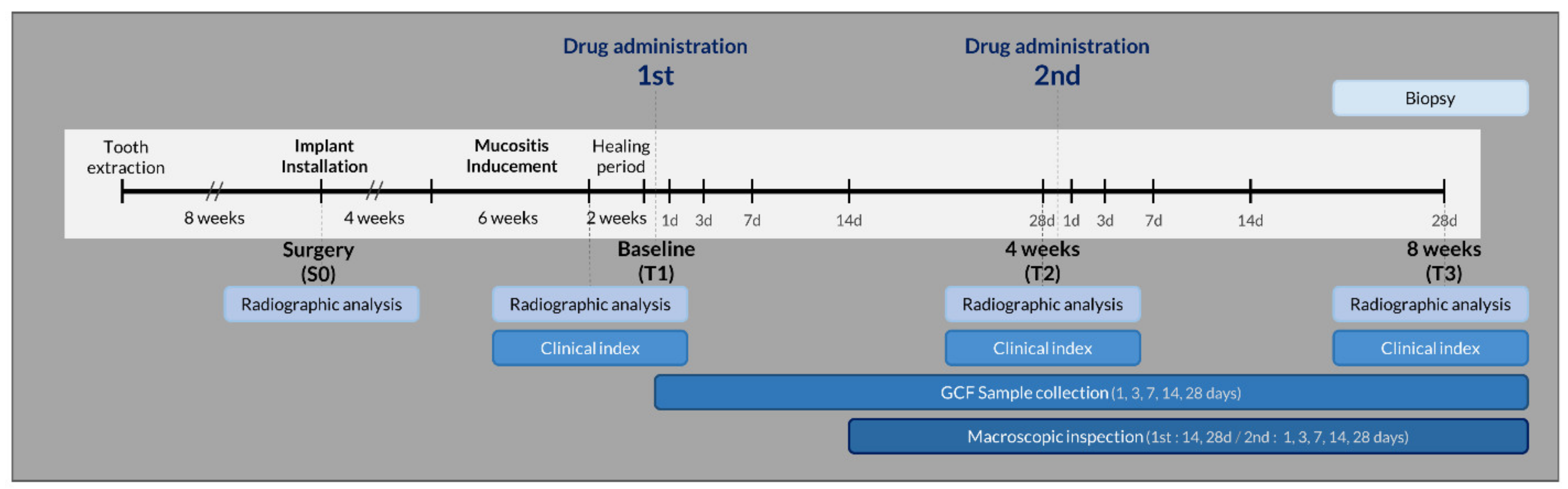 Pharmaceutics 12 00668 g001