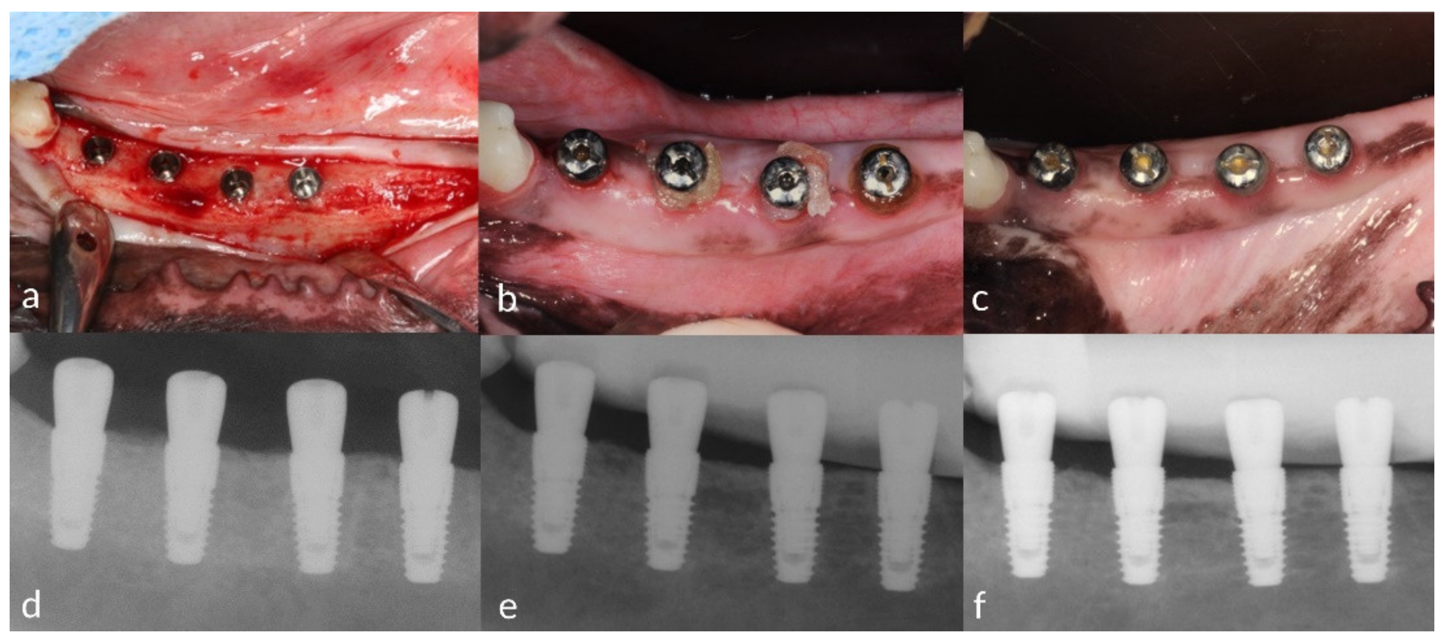 Pharmaceutics 12 00668 g002