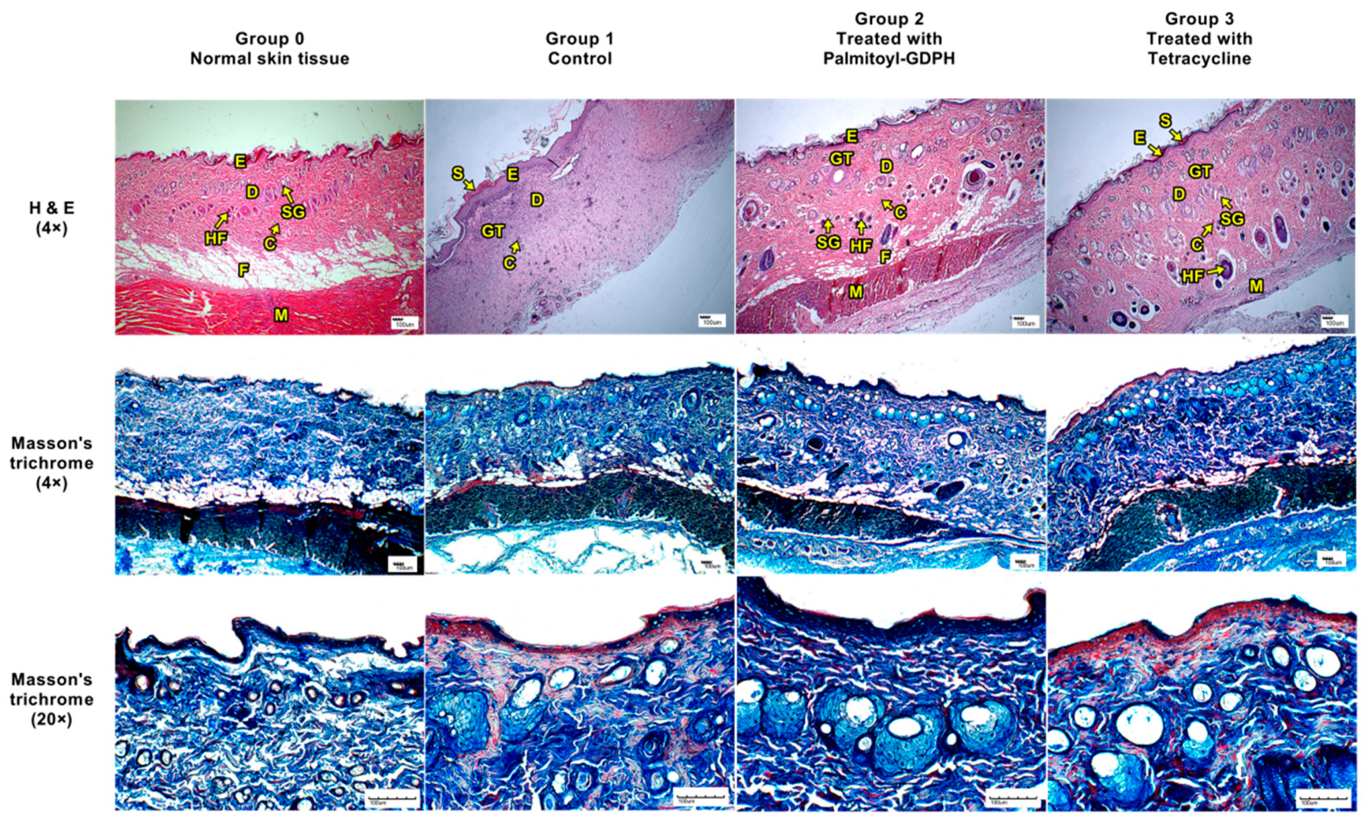 Pharmaceutics 13 00193 g005