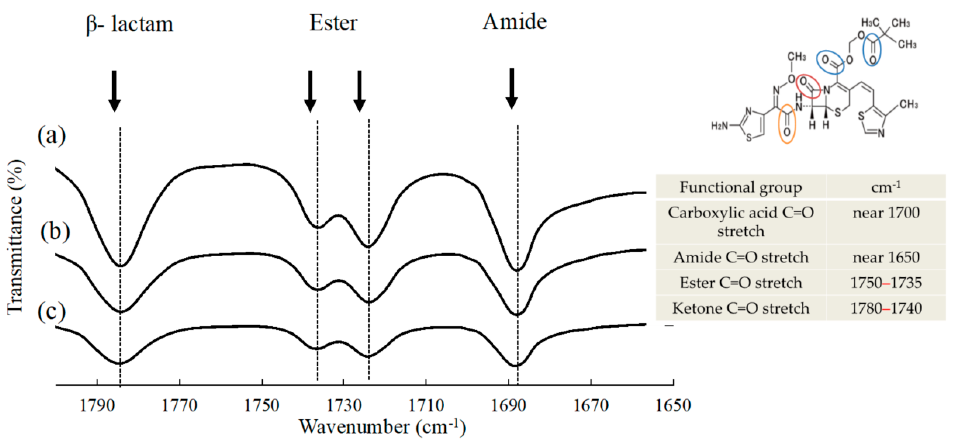 Pharmaceutics 13 00482 g005