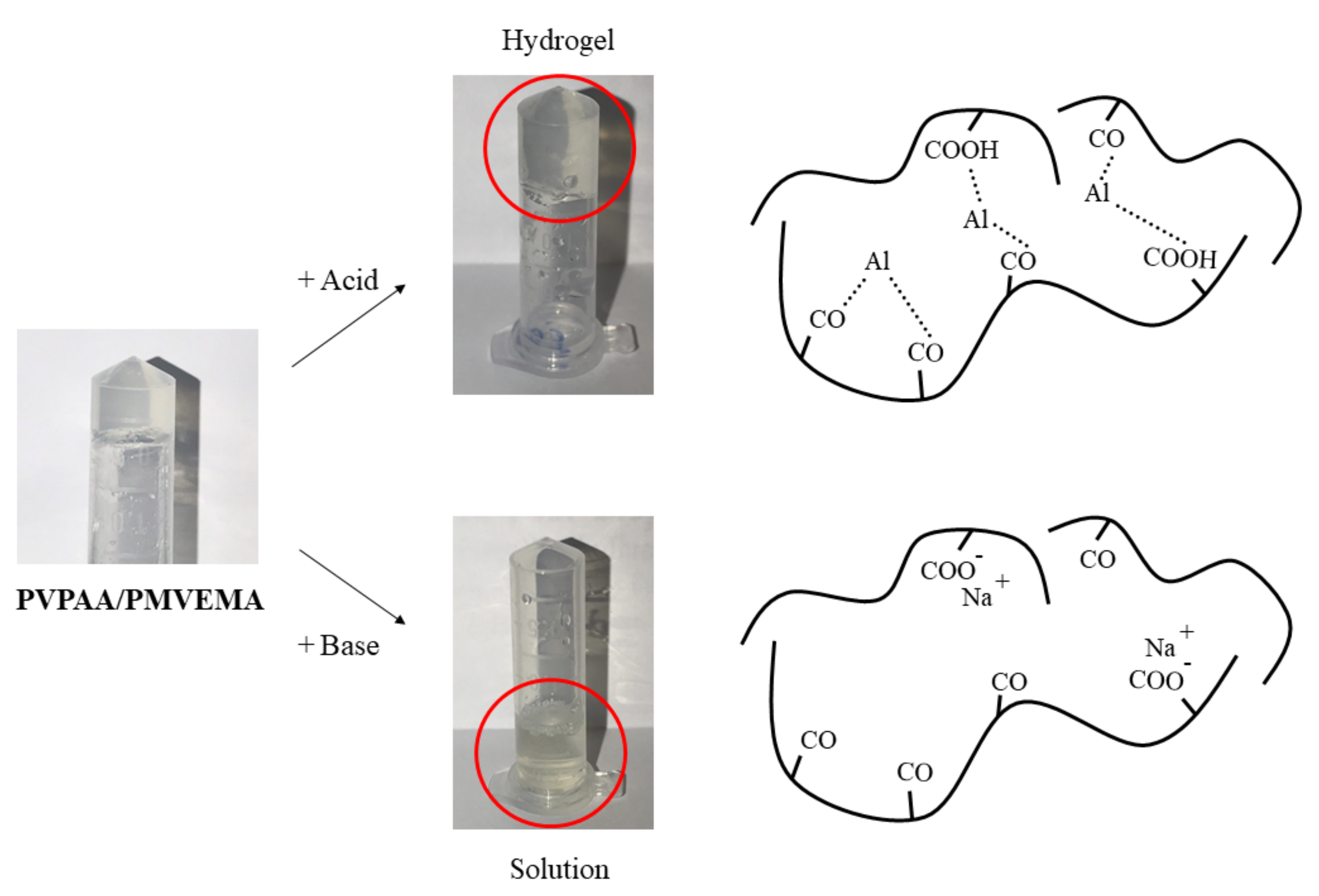 Pharmaceutics 13 00789 g005