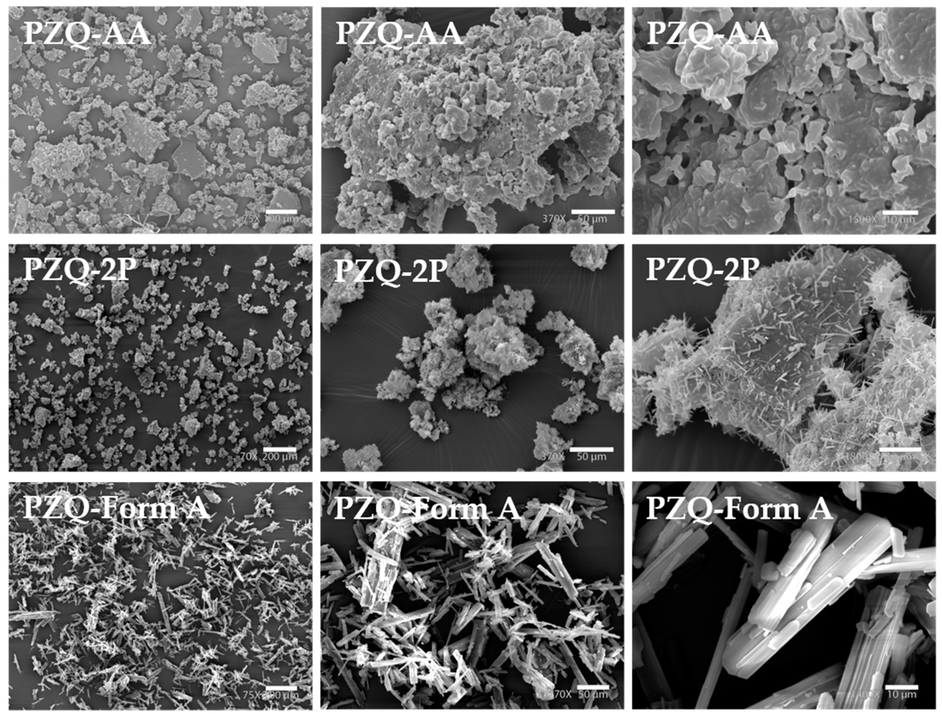 Pharmaceutics 13 01606 g004
