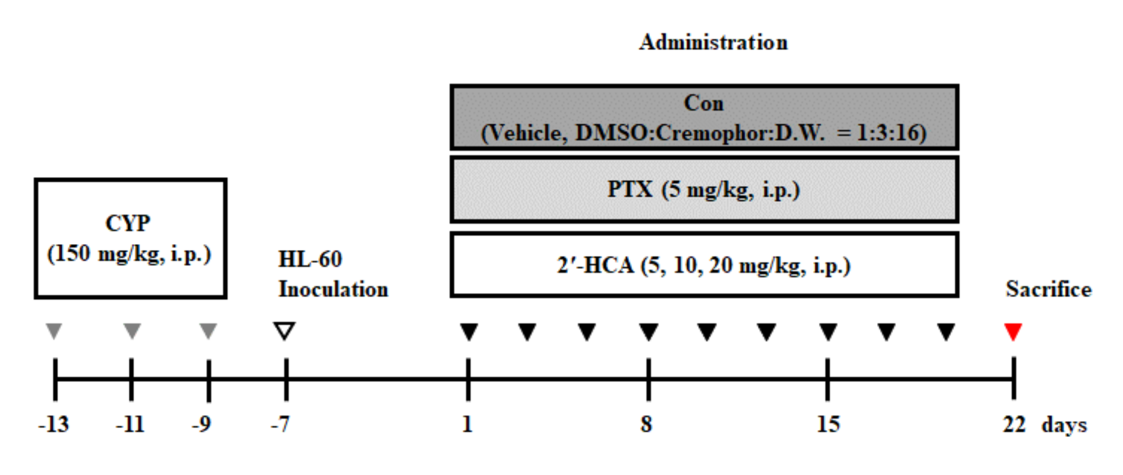 Pharmaceutics 13 01794 g002