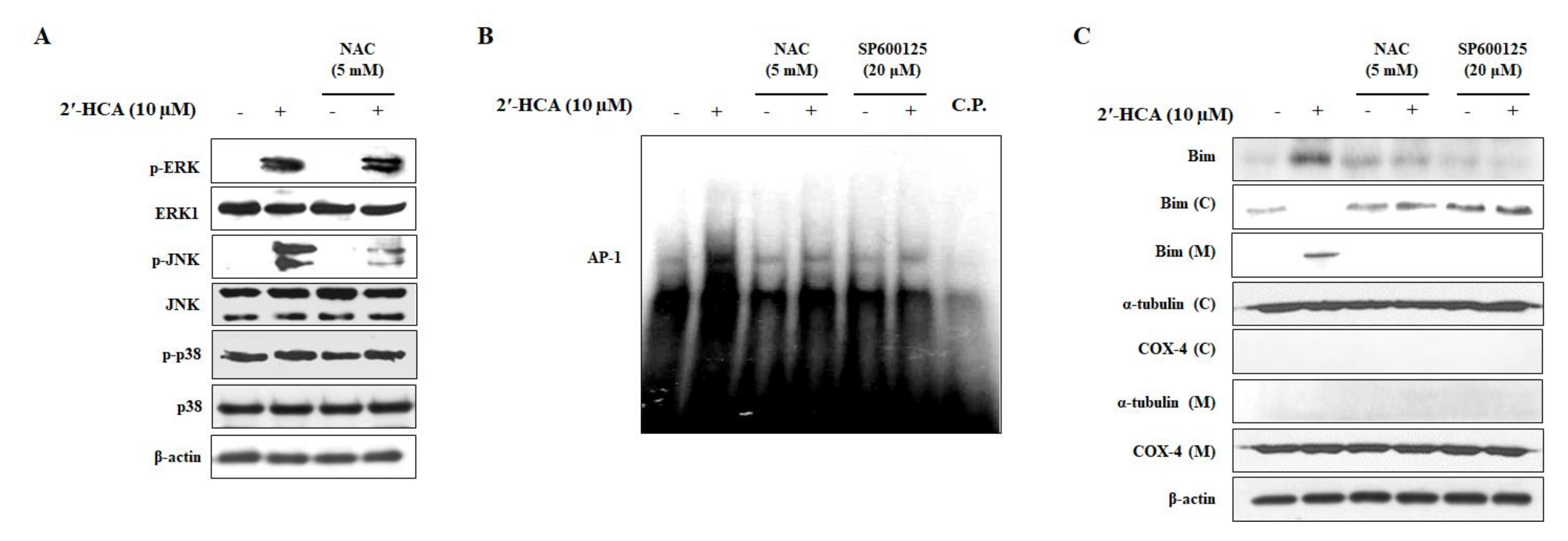 Pharmaceutics 13 01794 g007