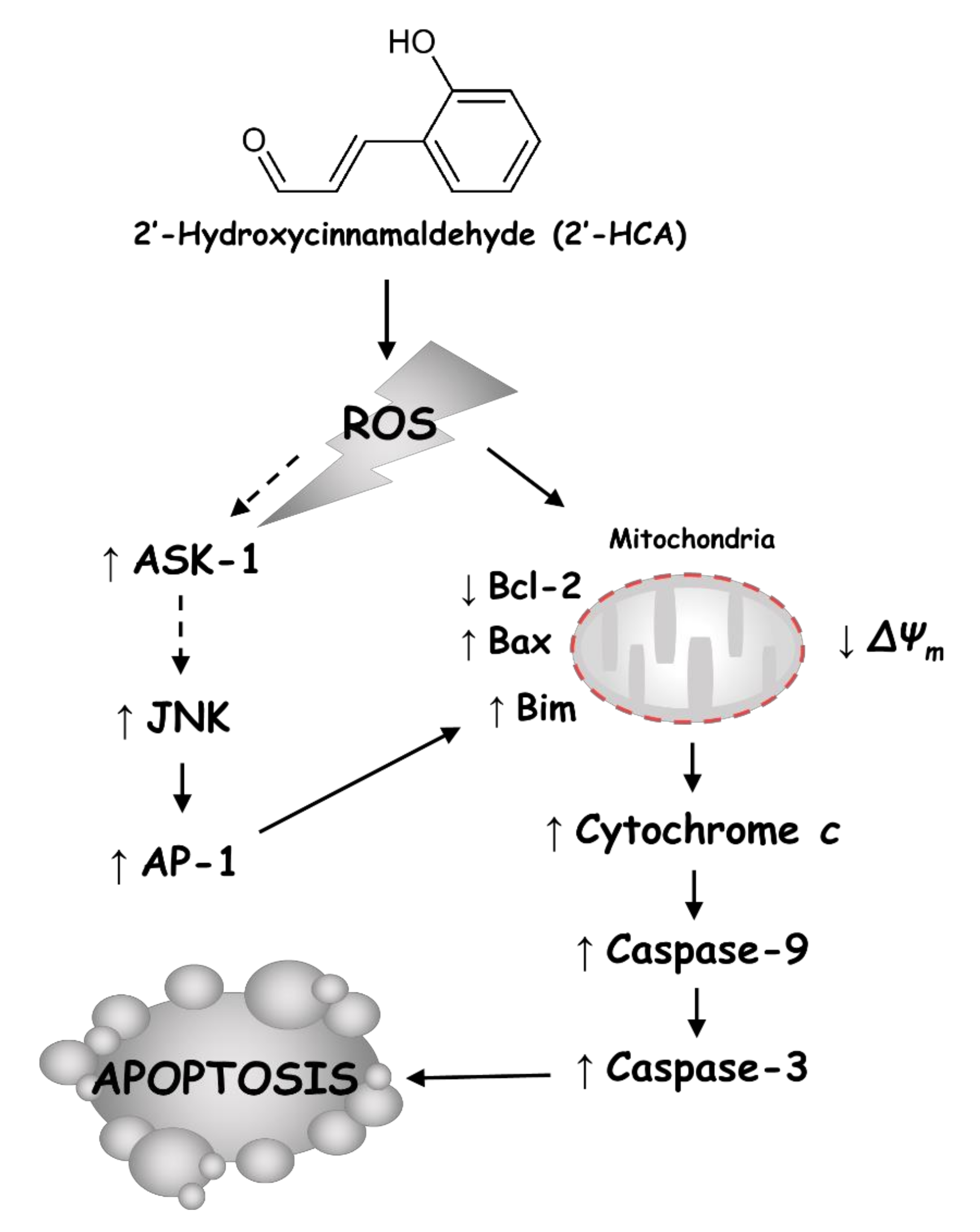 Pharmaceutics 13 01794 g009
