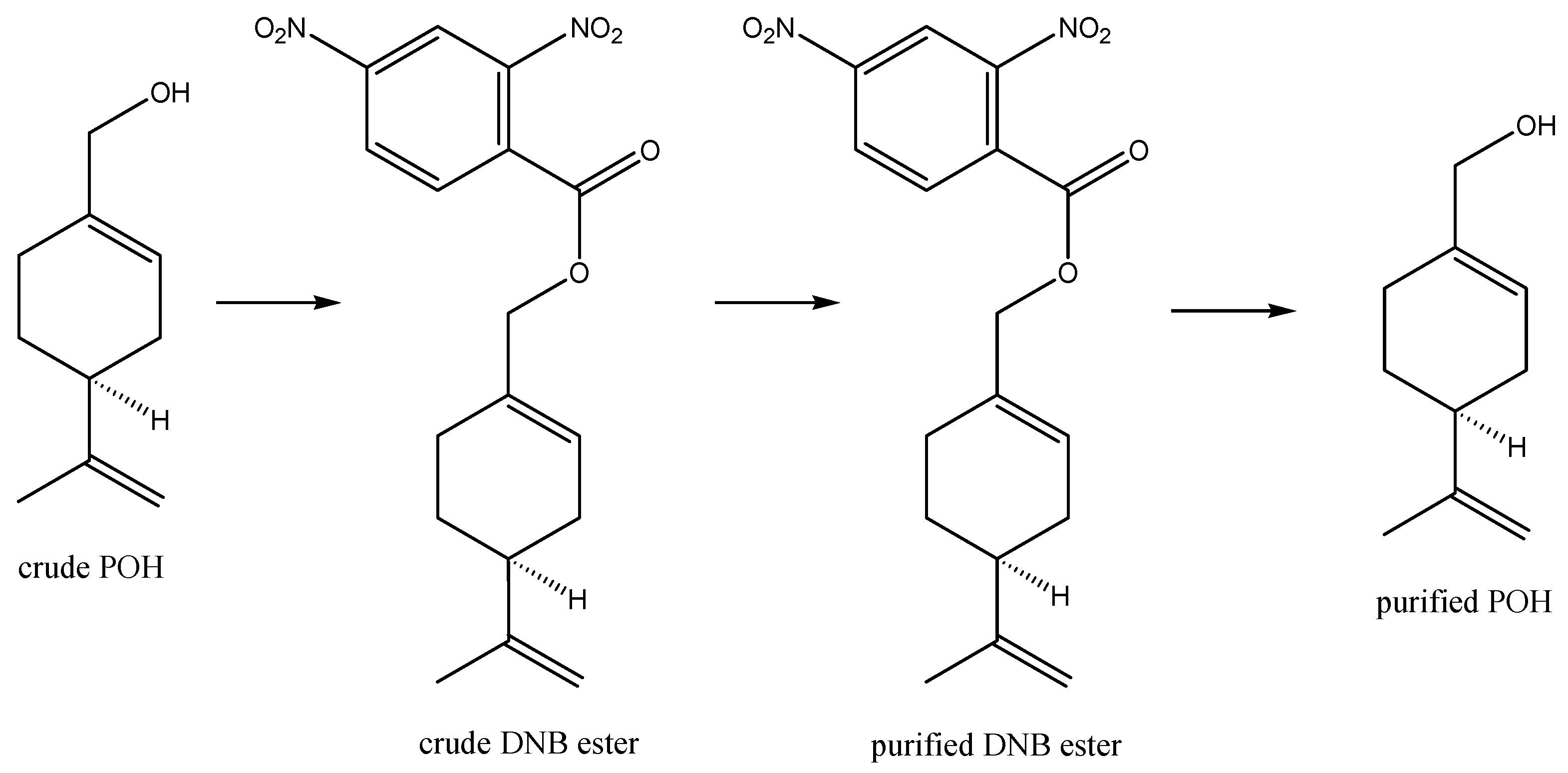 Pharmaceutics 13 02167 sch003