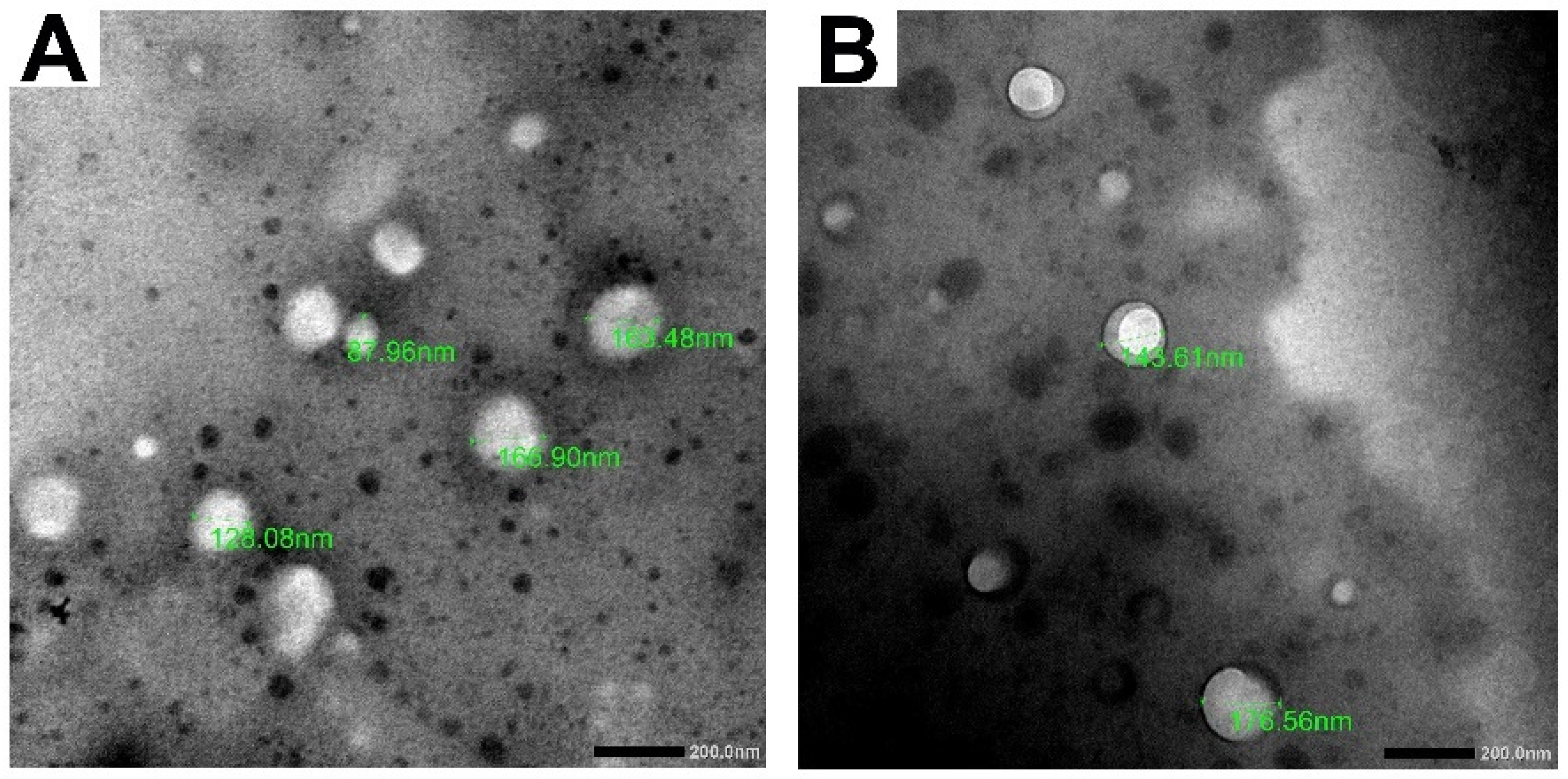 Pharmaceutics 14 00140 g001