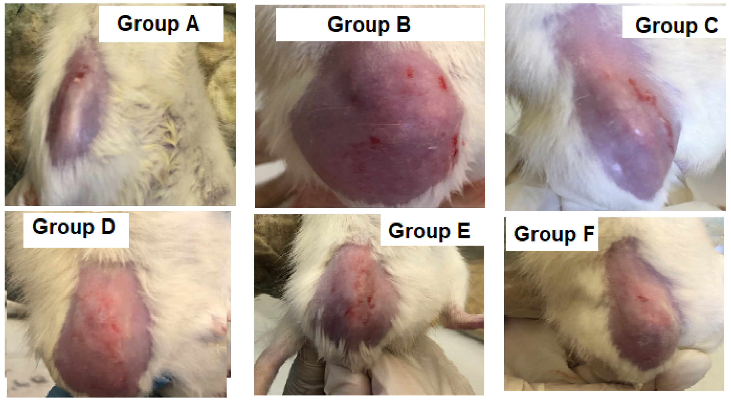 Pharmaceutics 14 00140 g006