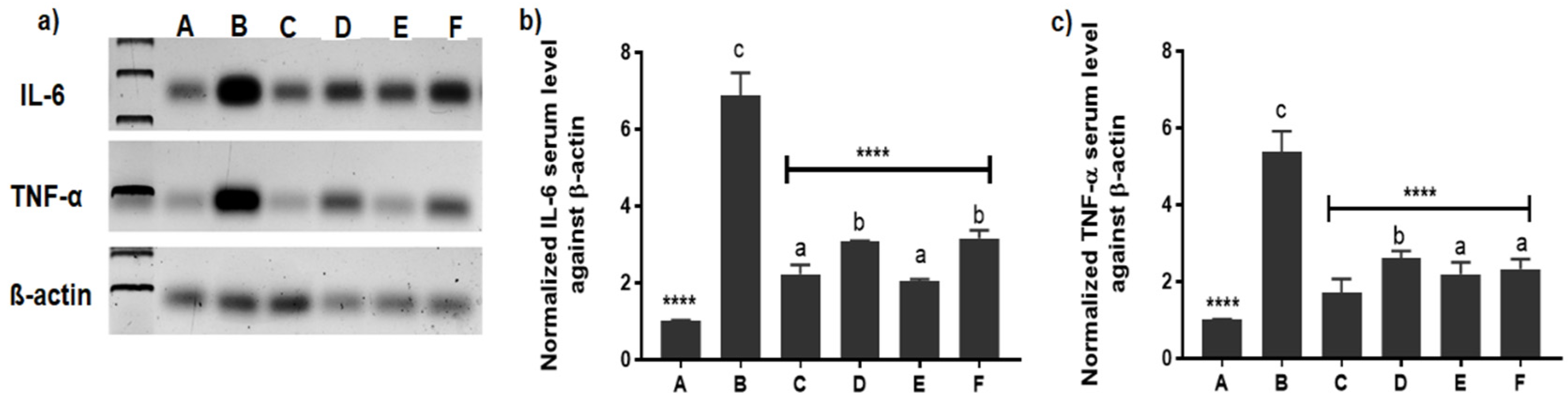 Pharmaceutics 14 00140 g008