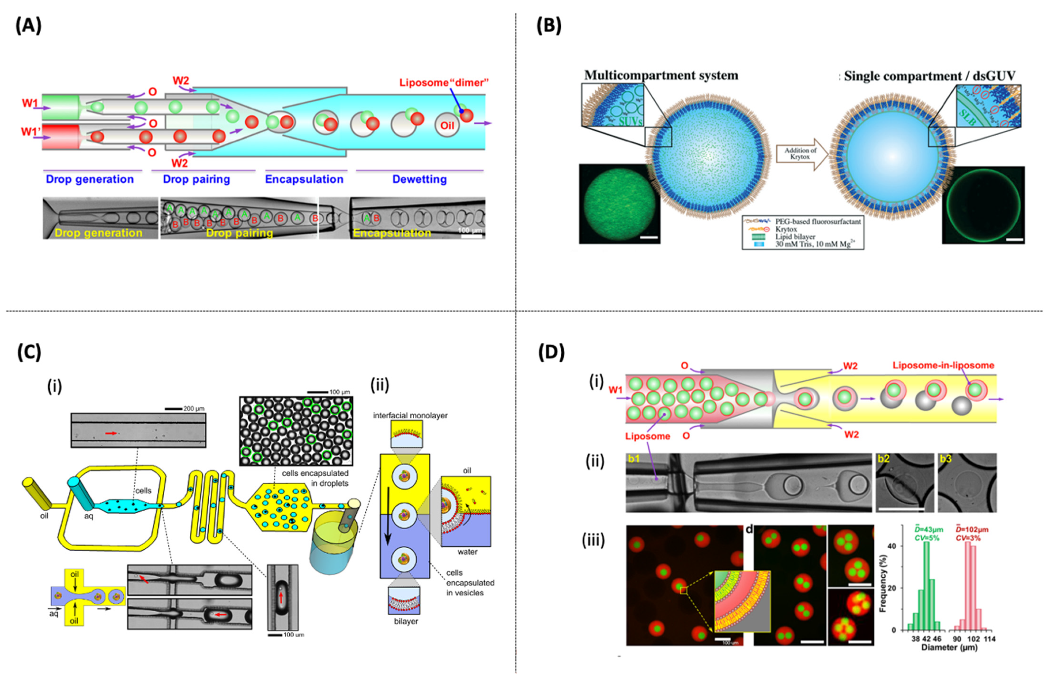 Pharmaceutics 14 00141 g006