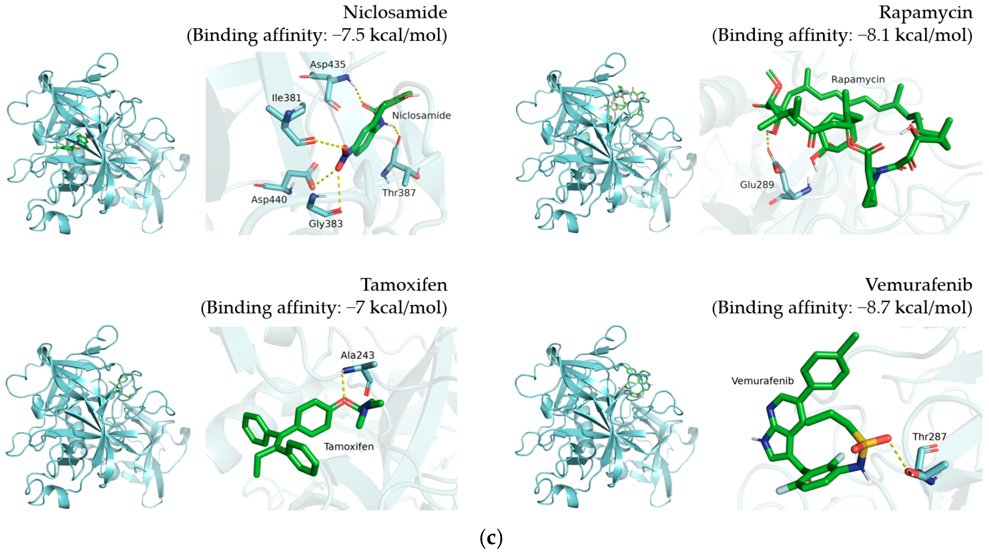 Pharmaceutics 14 00176 g002b