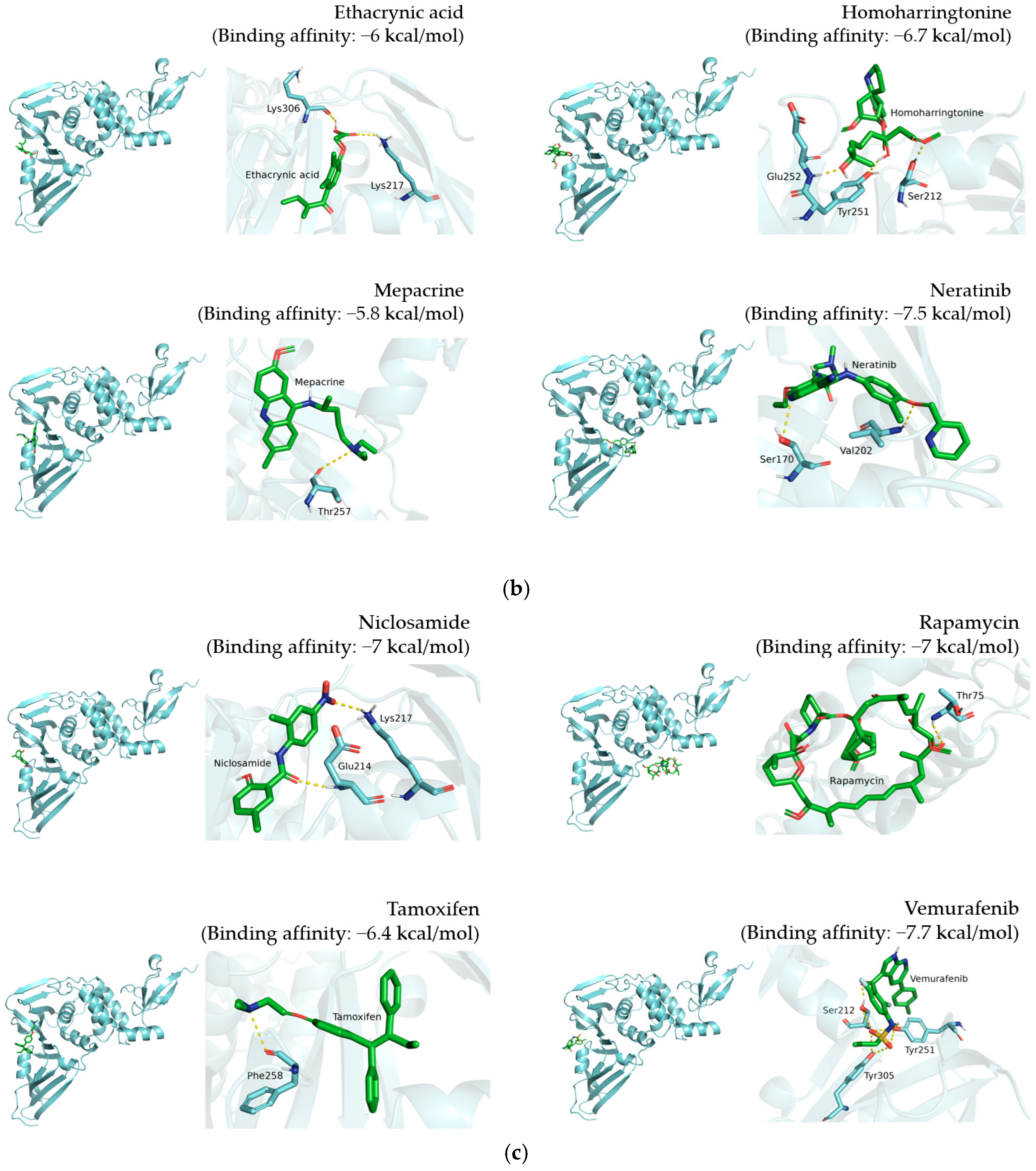 Pharmaceutics 14 00176 g003b