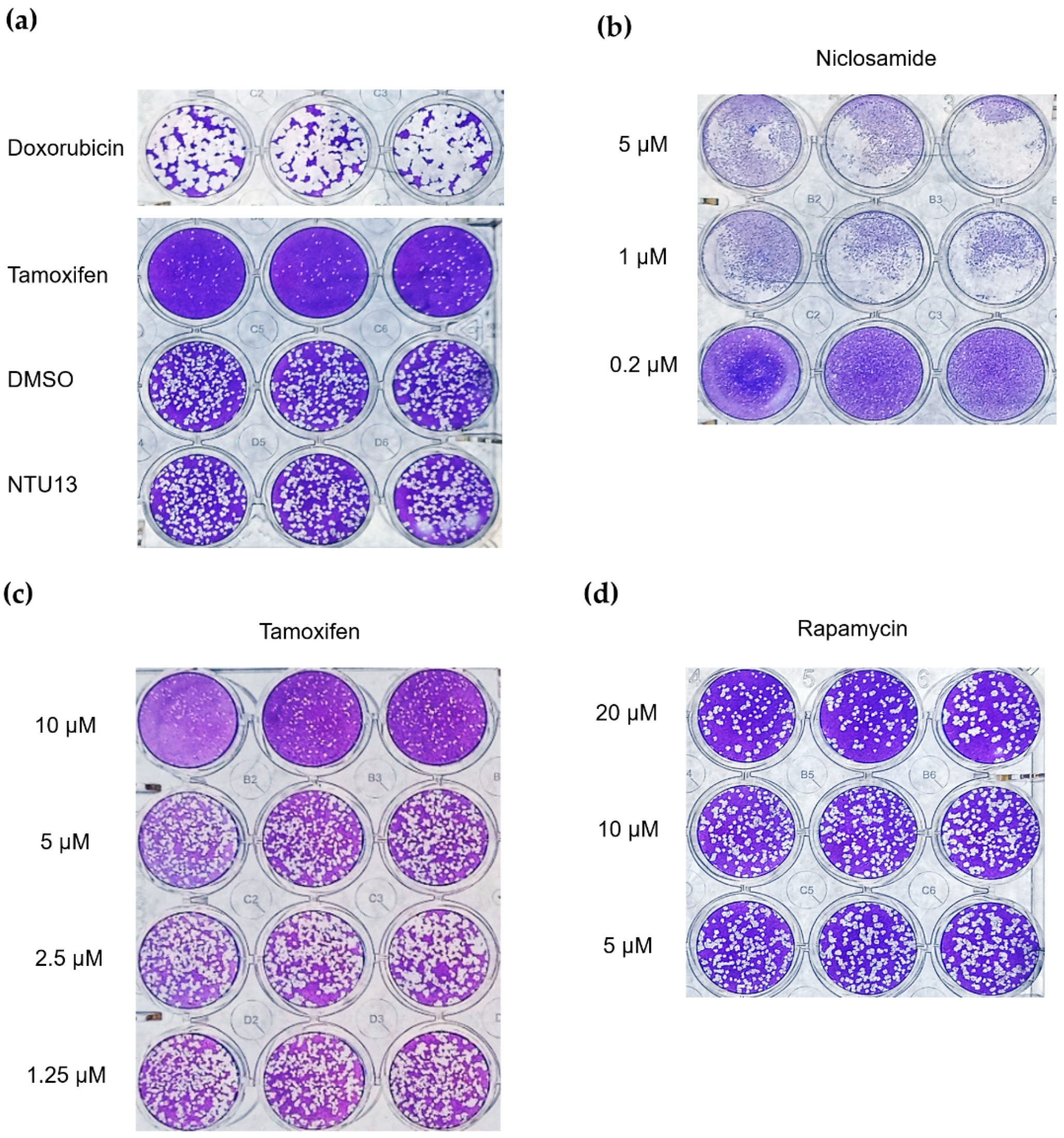 Pharmaceutics 14 00176 g007
