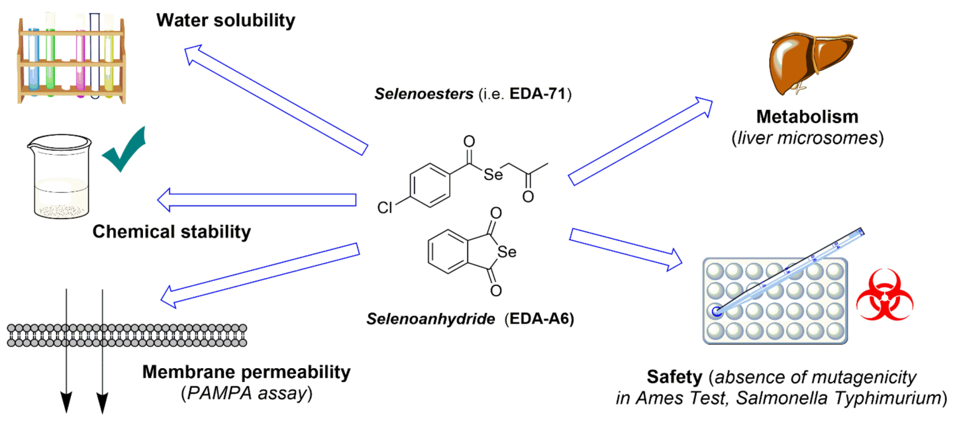 Pharmaceutics 14 00367 g002