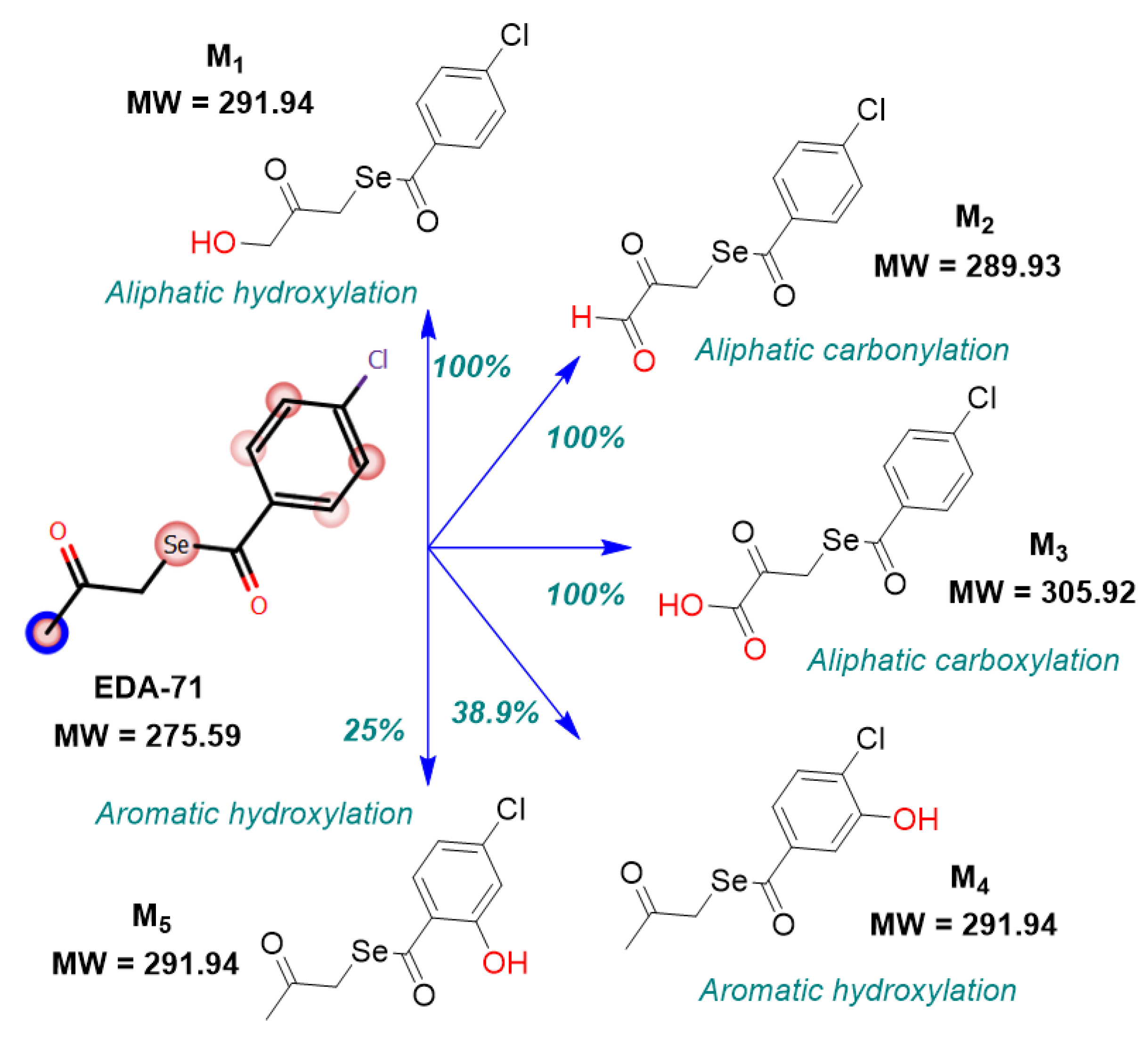 Pharmaceutics 14 00367 g003