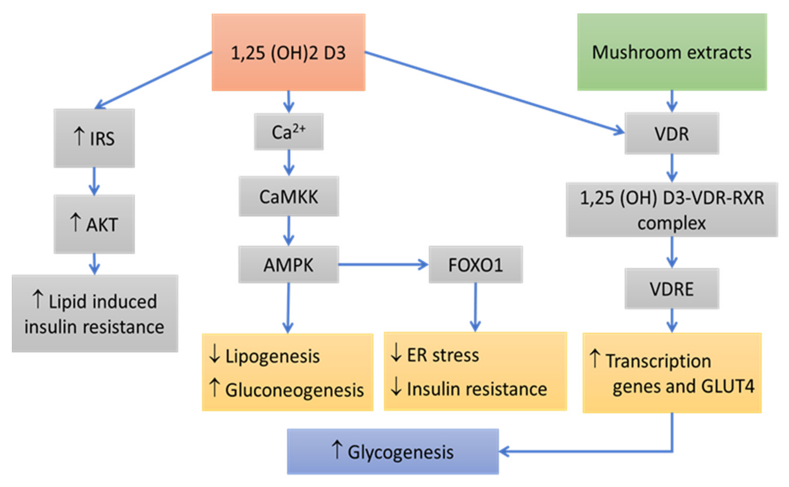 Pharmaceutics 14 00436 g004