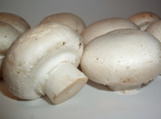 Pharmaceutics 14 00436 i008