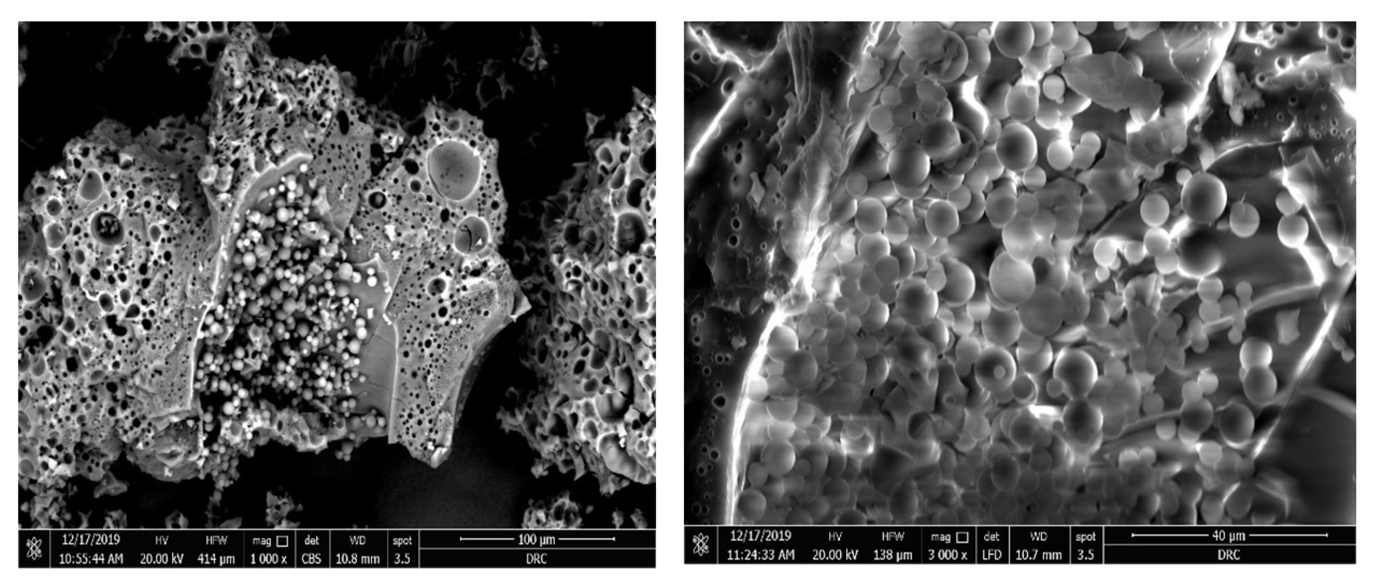 Pharmaceutics 14 00470 g006