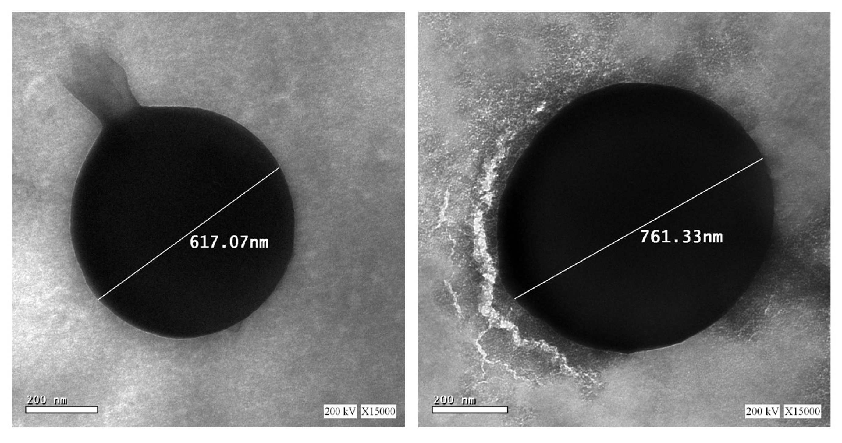 Pharmaceutics 14 00470 g007