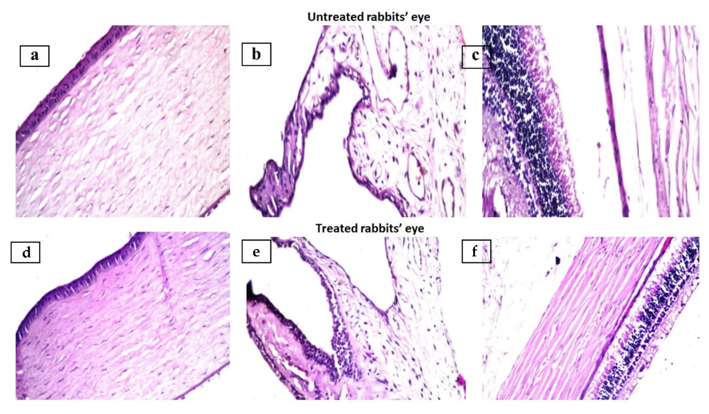 Pharmaceutics 14 00470 g009
